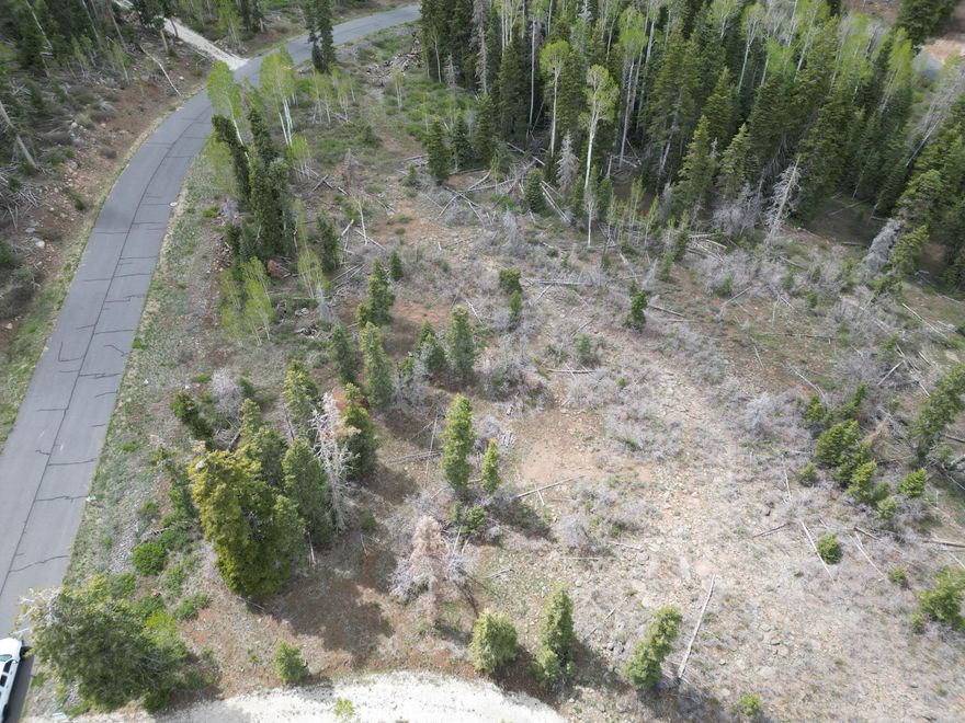 Beautiful mountain lot with diverse landscaping. This secluded lot includes meadows and wooded areas with large Pines. This premium lot will not last. Listing information deemed reliable, buyer to verify.