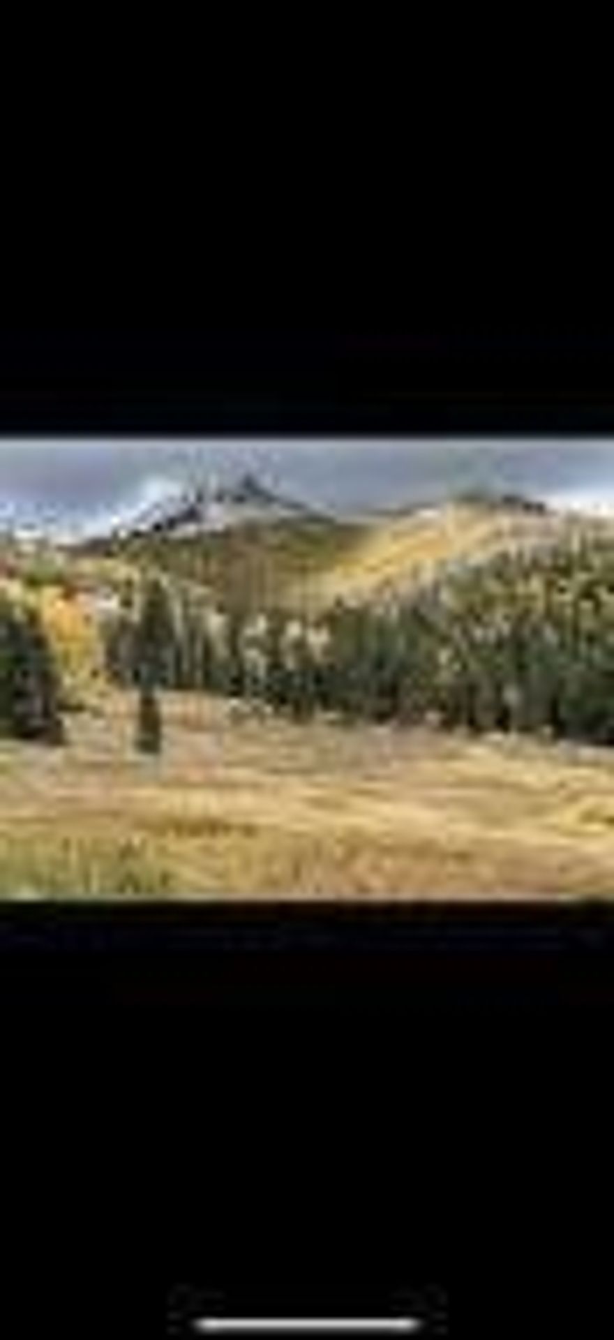 2 LOTS FOR THE PRICE OF 1!! There are 2 lots included in this listing. Both are listed separately as well. Own your piece of Heaven. Get out of the heat and busy lives to Eagle Point Resort. This area is an amazing place to hike, bike, ski and snowboarding, cool breezes, sunrises and sunsets that will take your breath away, star filled skies, fall leaves, hunting, fishing, play at Puffer Lake. Must see to appreciate this beautiful place.