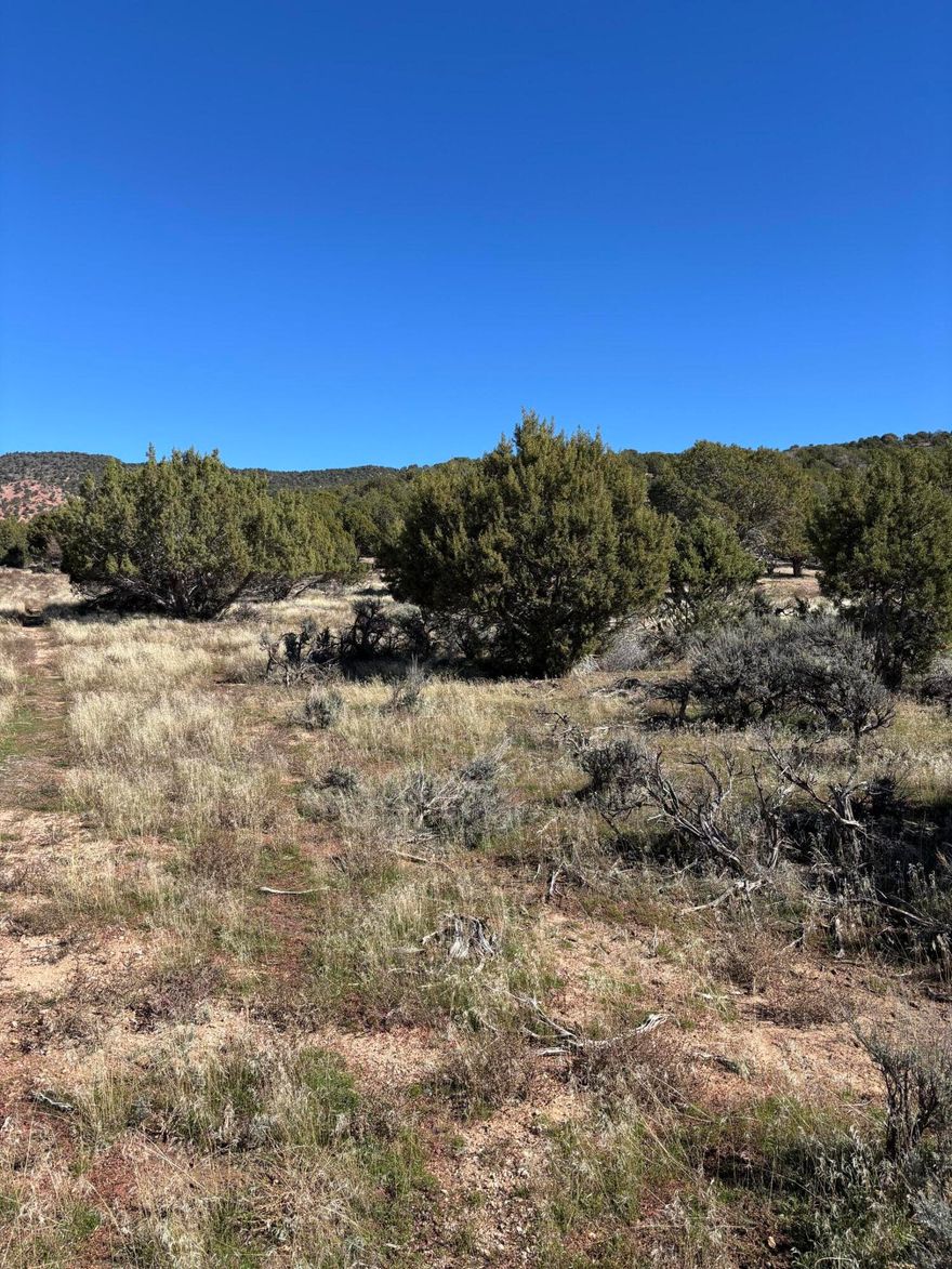 Rare 10 acres piece of land just south of Cedar City with 1 acre of water feet PLUS your own well! Value of the water could be from 70,000 and up today.