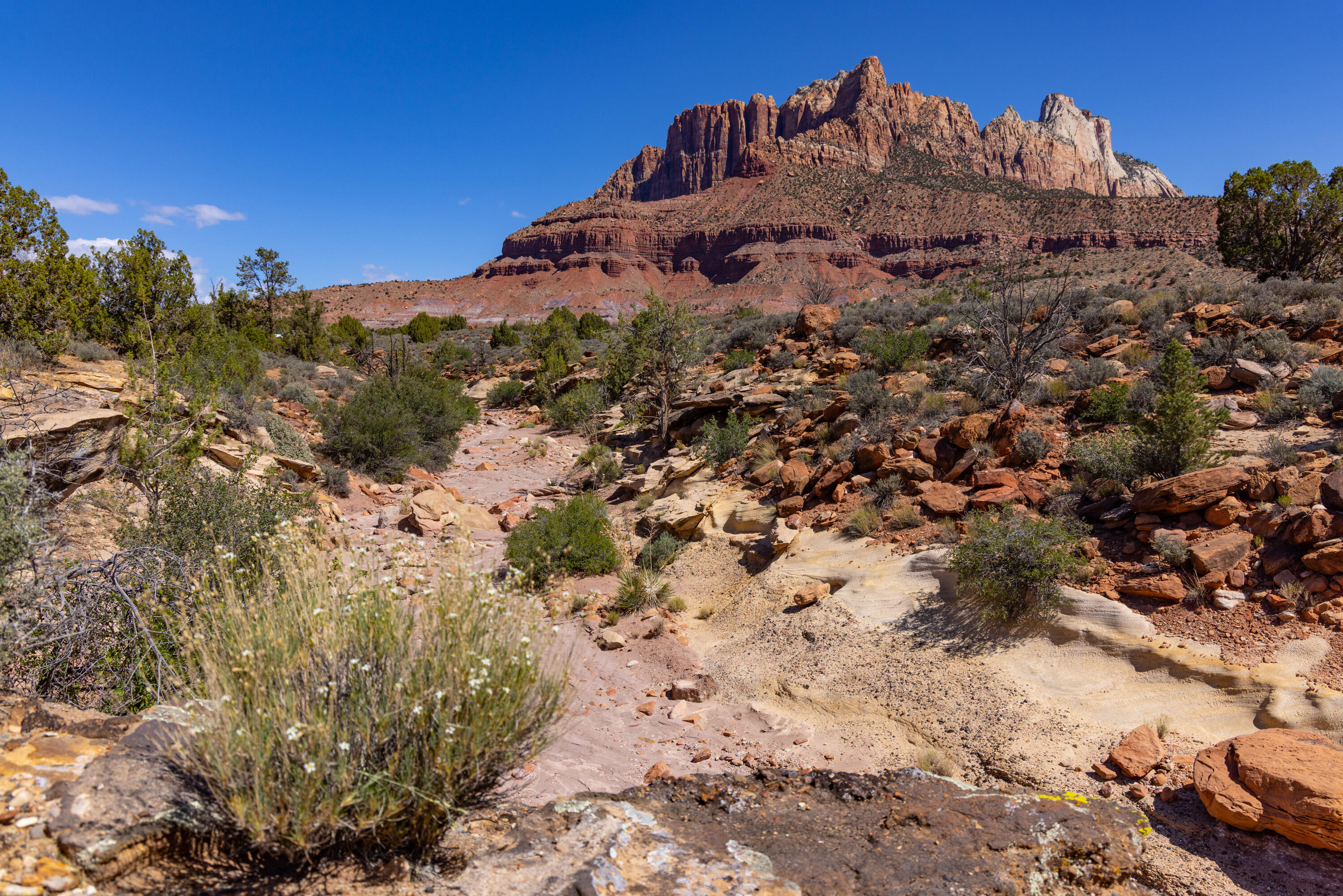 ANASAZI PLATEAU - Land