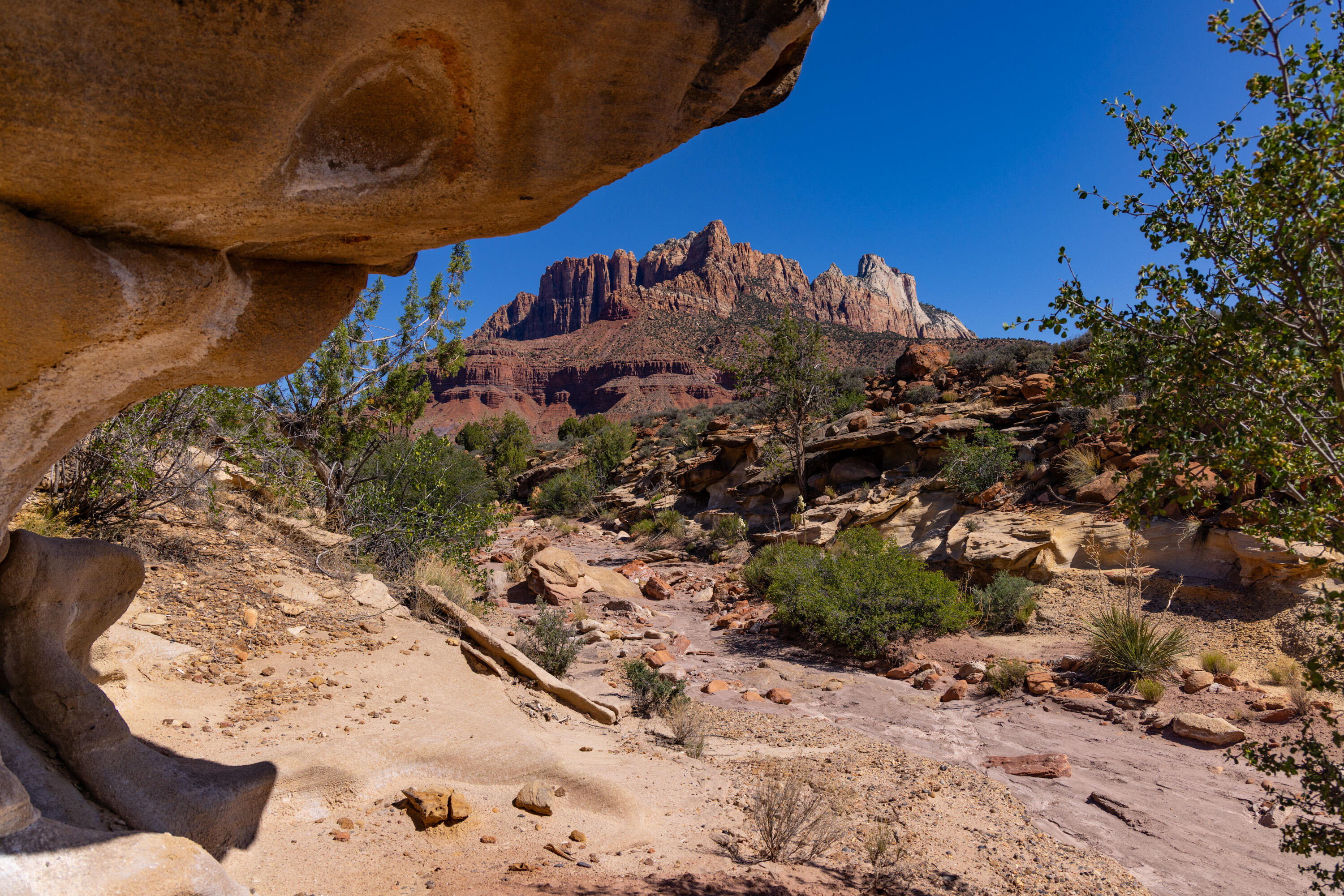 ANASAZI PLATEAU - Land