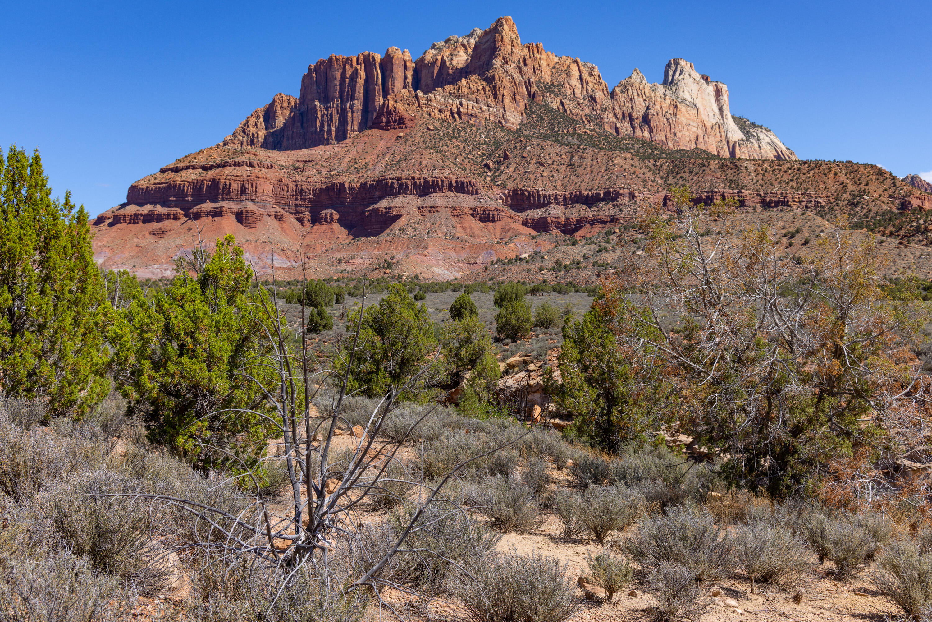 ANASAZI PLATEAU - Land