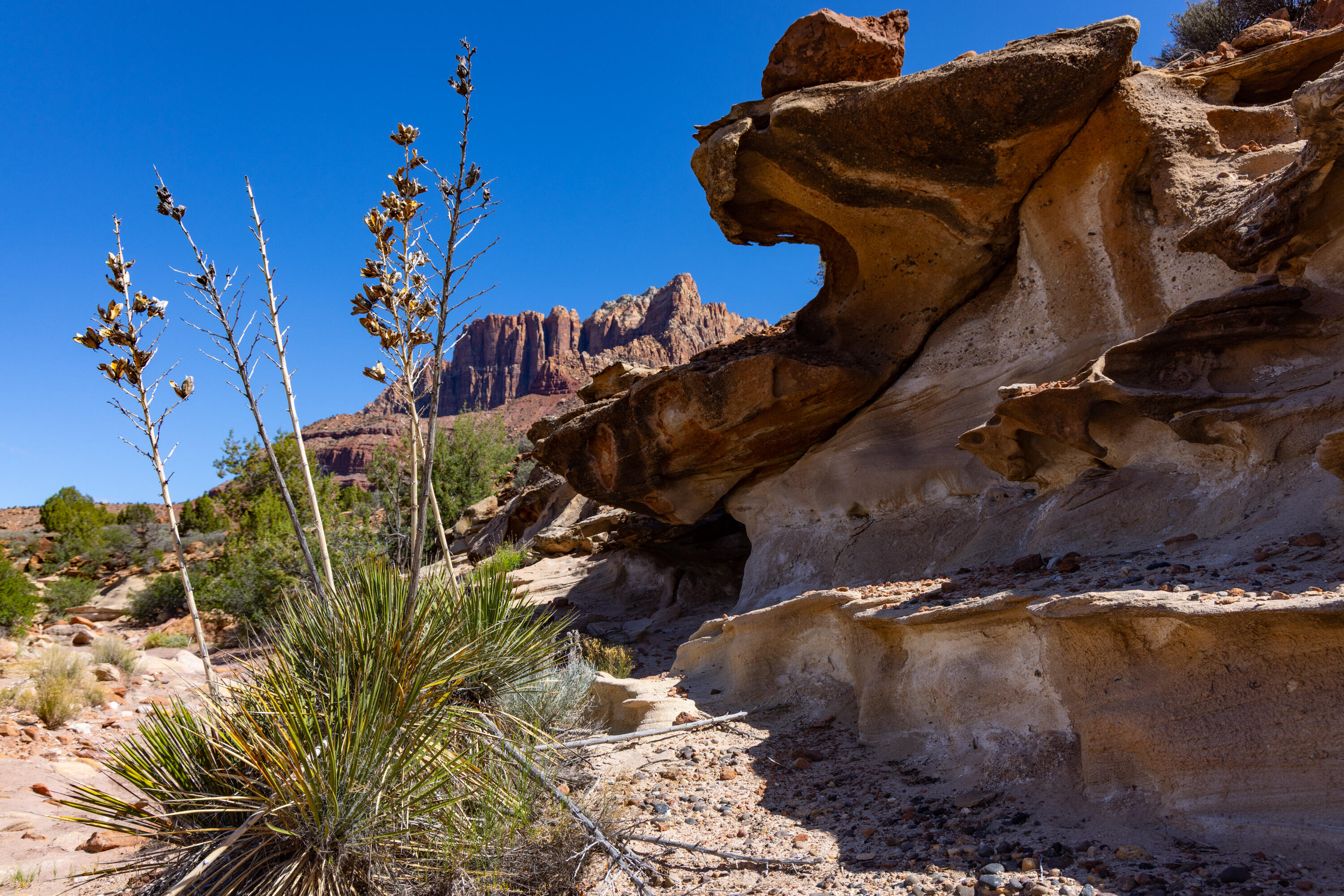ANASAZI PLATEAU - Land