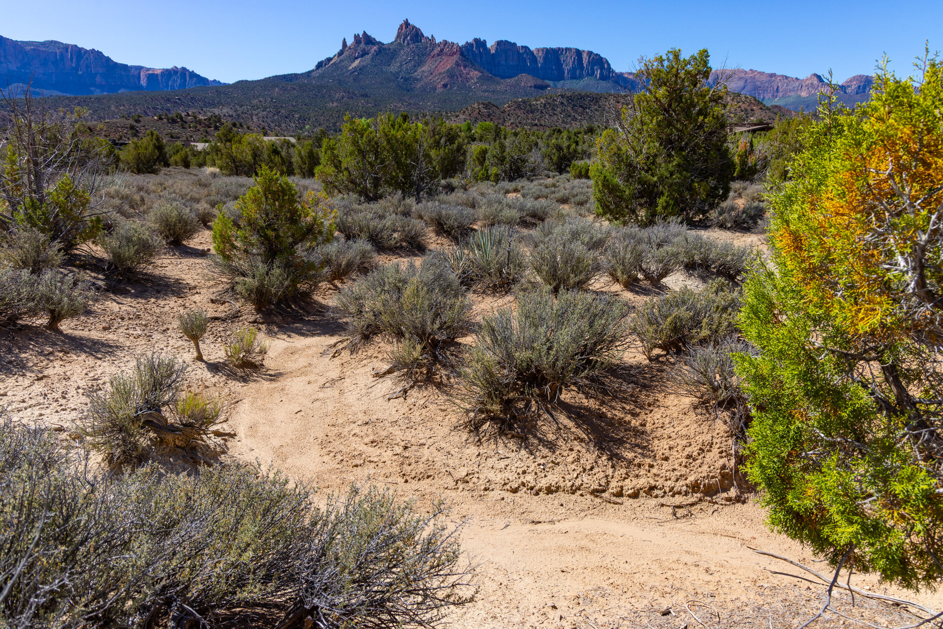 ANASAZI PLATEAU - Land