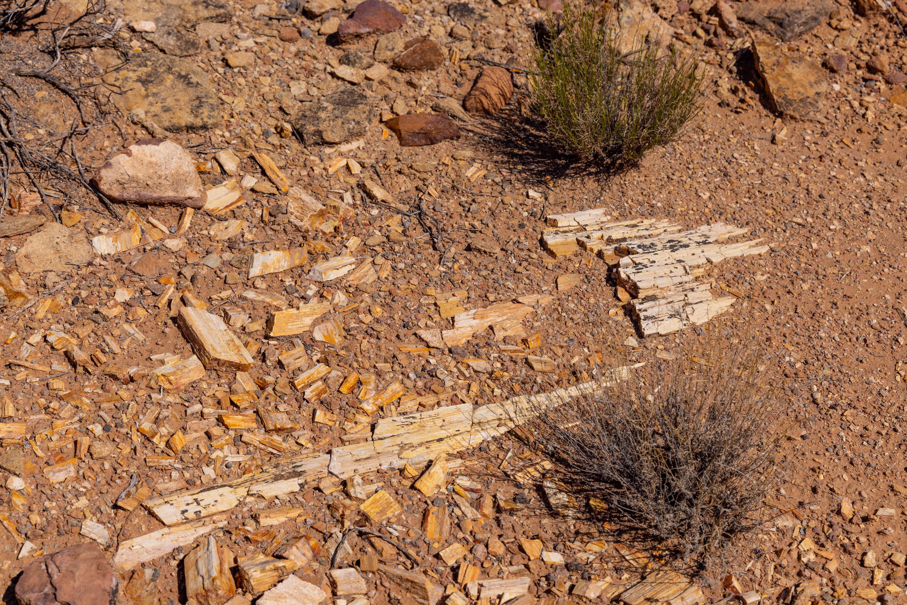 ANASAZI PLATEAU - Land