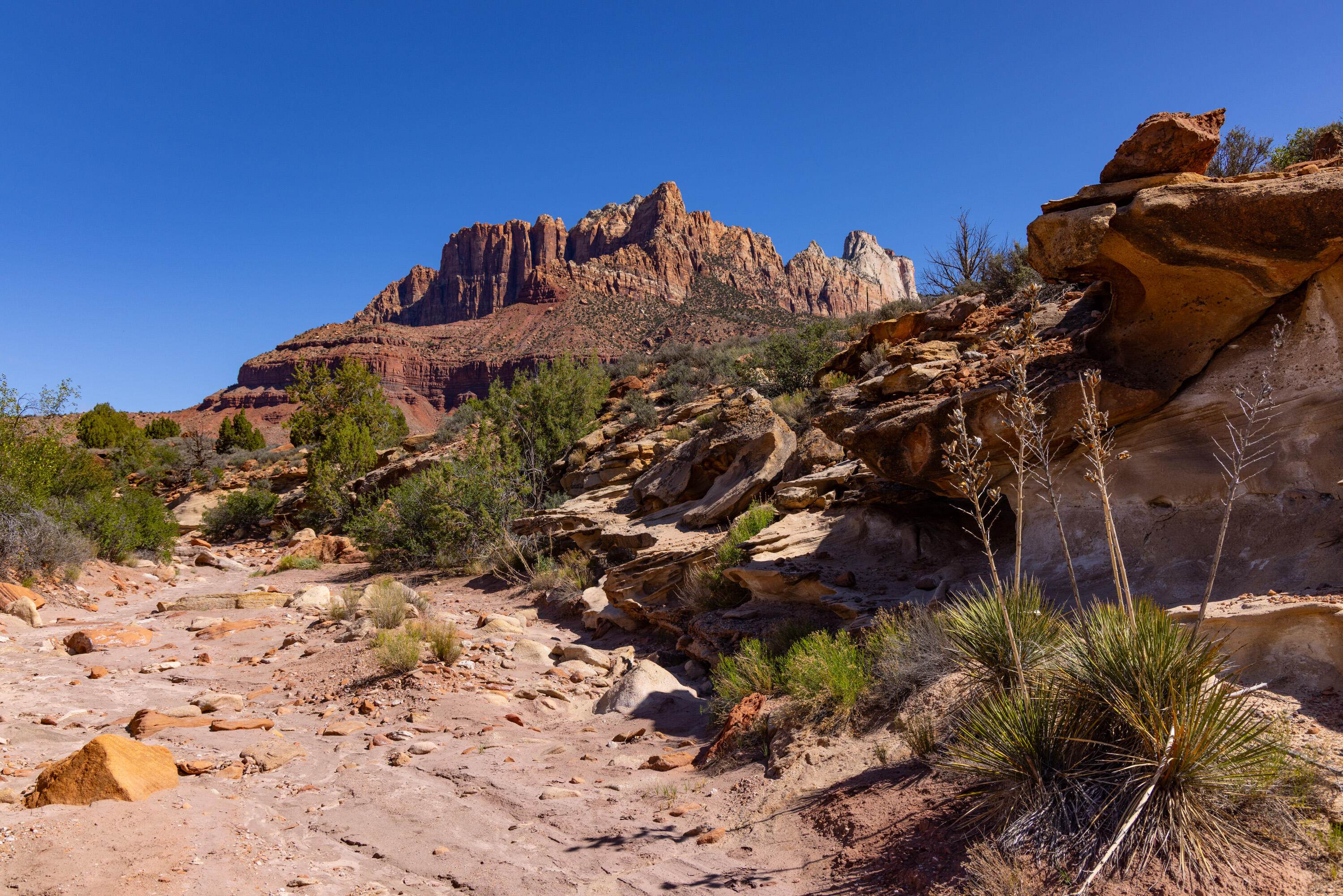 ANASAZI PLATEAU - Land