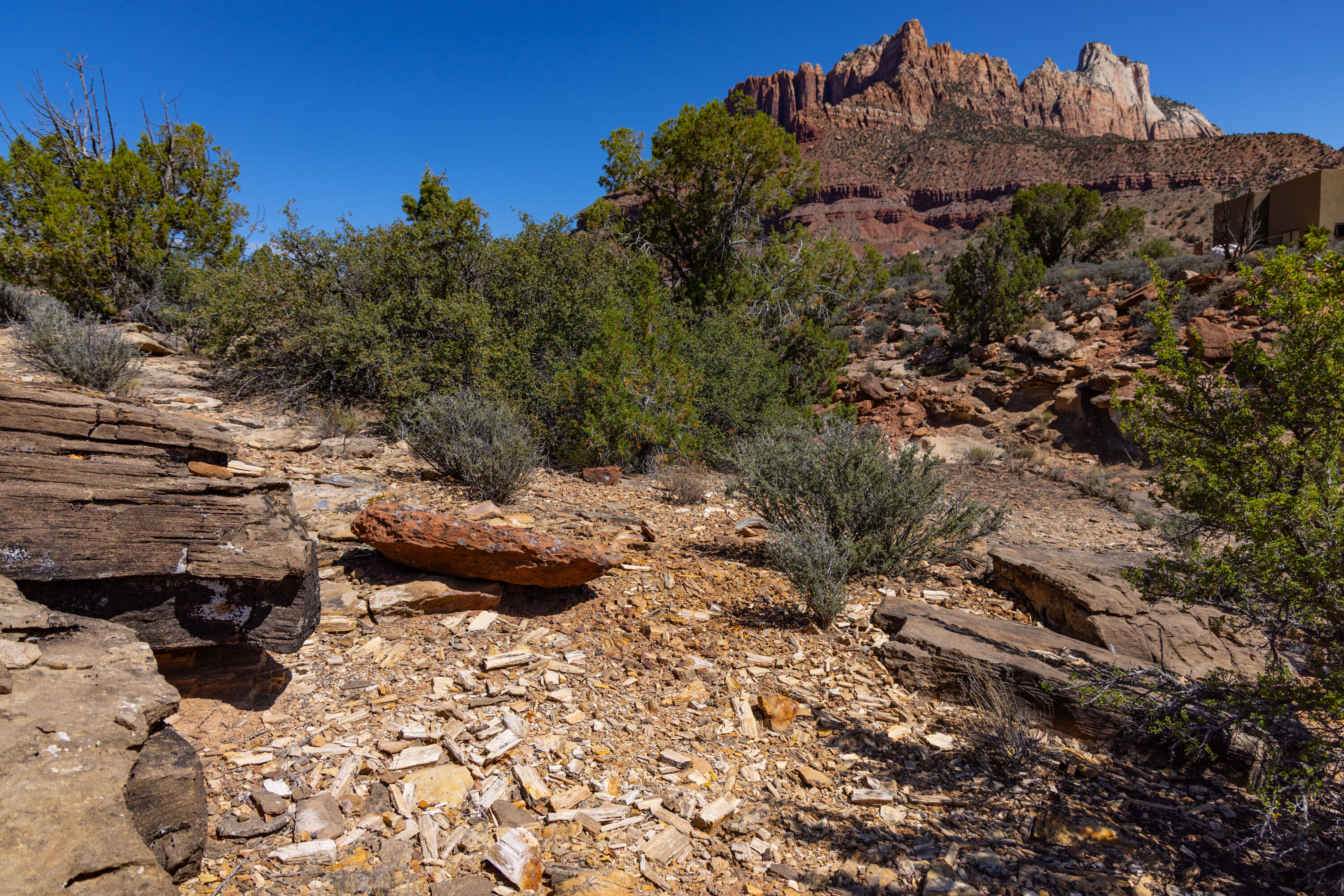 ANASAZI PLATEAU - Land