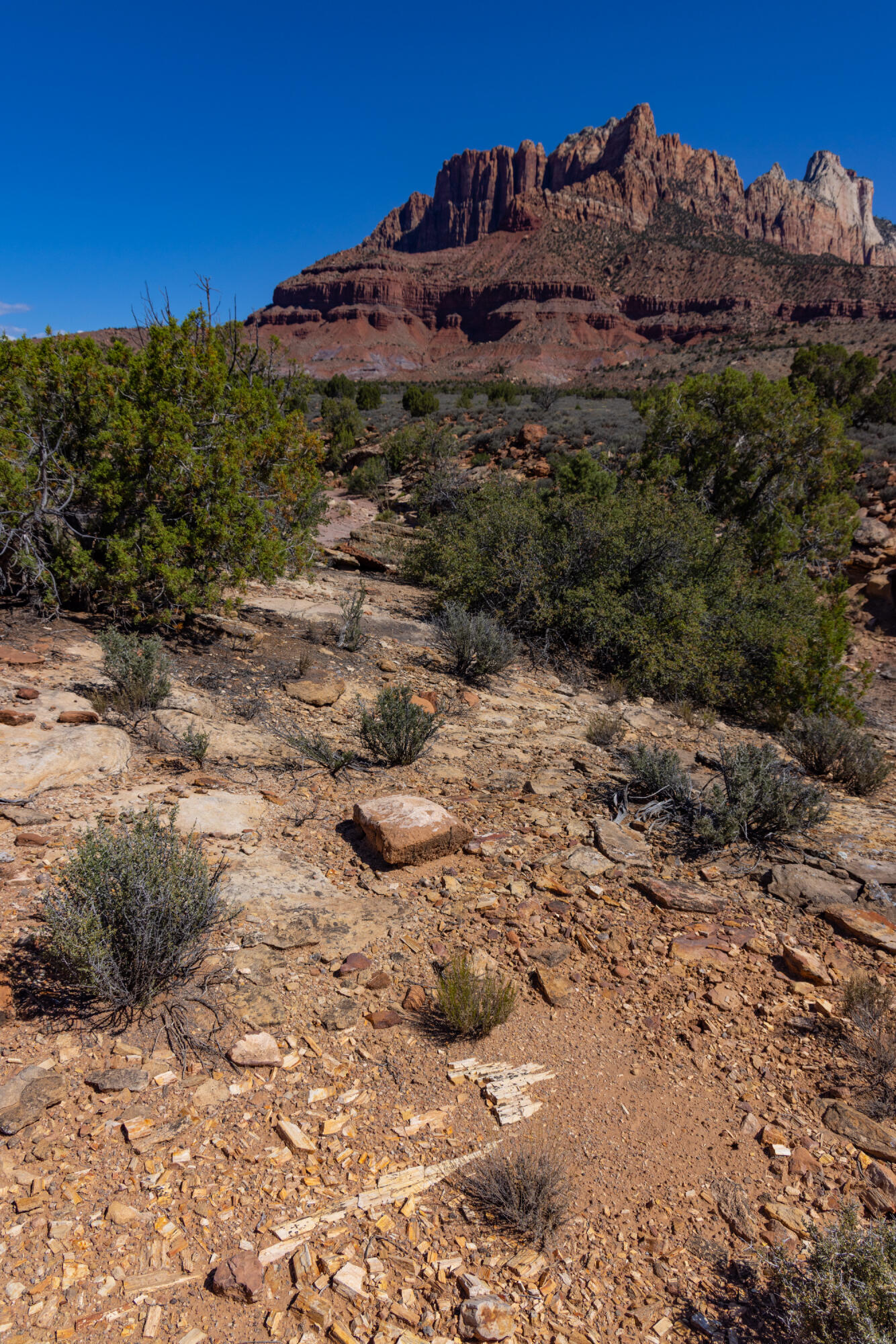 ANASAZI PLATEAU - Land