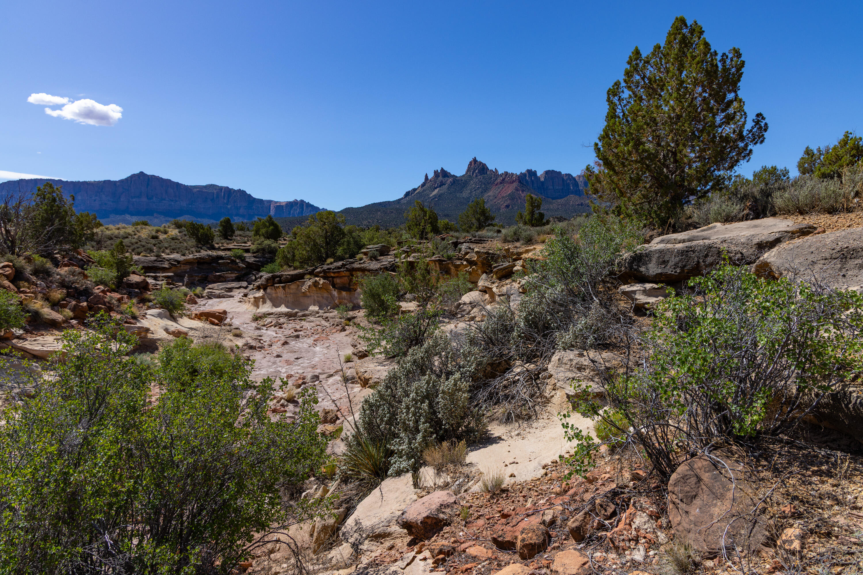 ANASAZI PLATEAU - Land