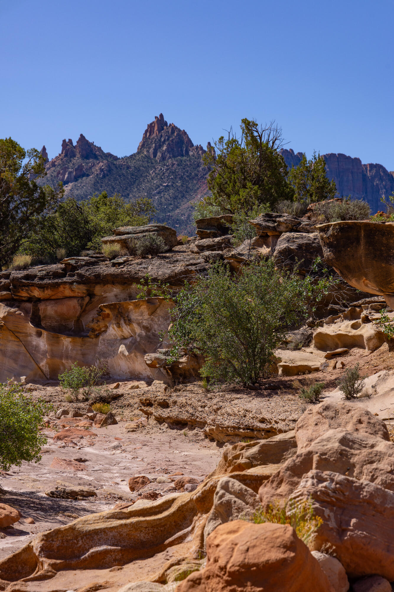 ANASAZI PLATEAU - Land
