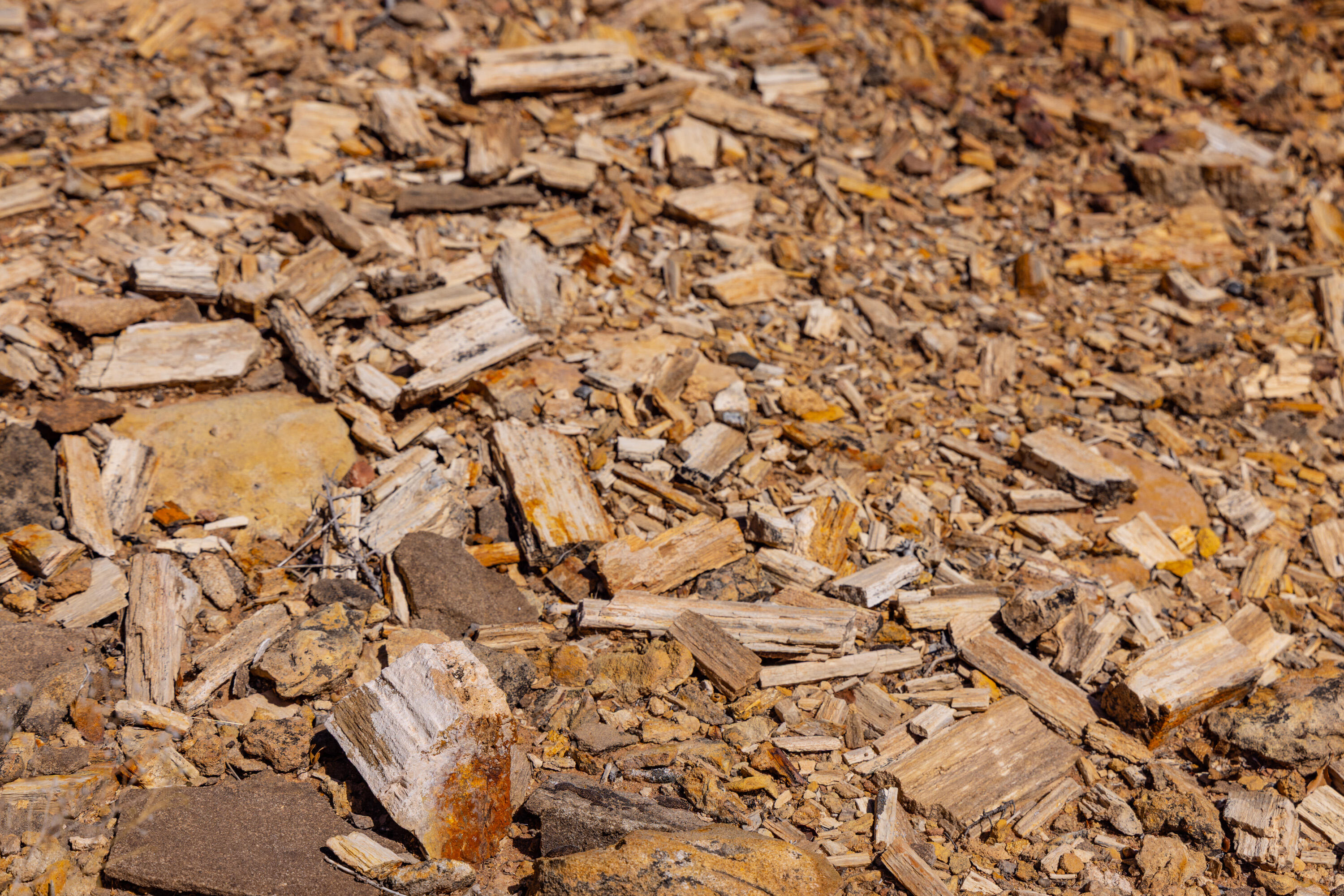 ANASAZI PLATEAU - Land