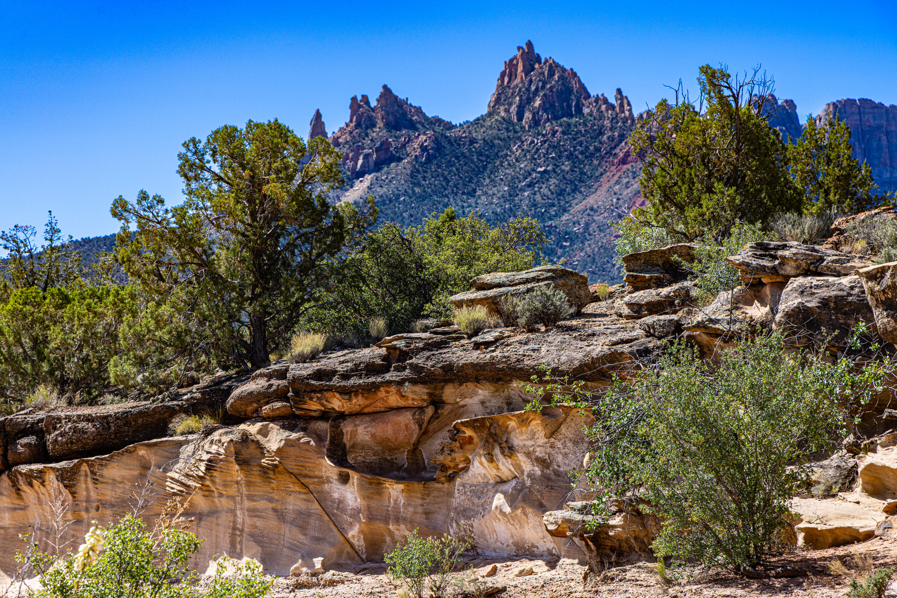 ANASAZI PLATEAU - Land