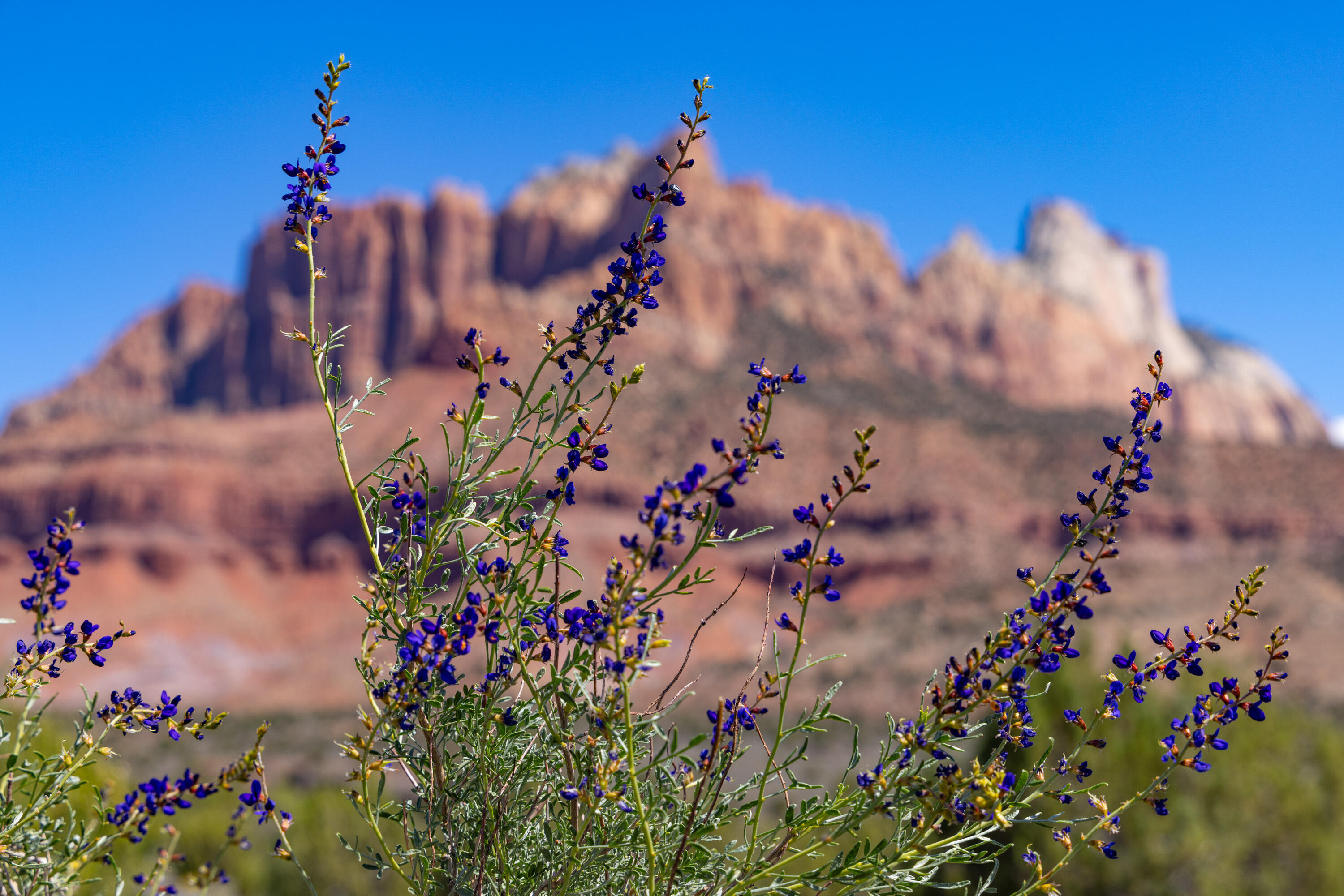 ANASAZI PLATEAU - Land