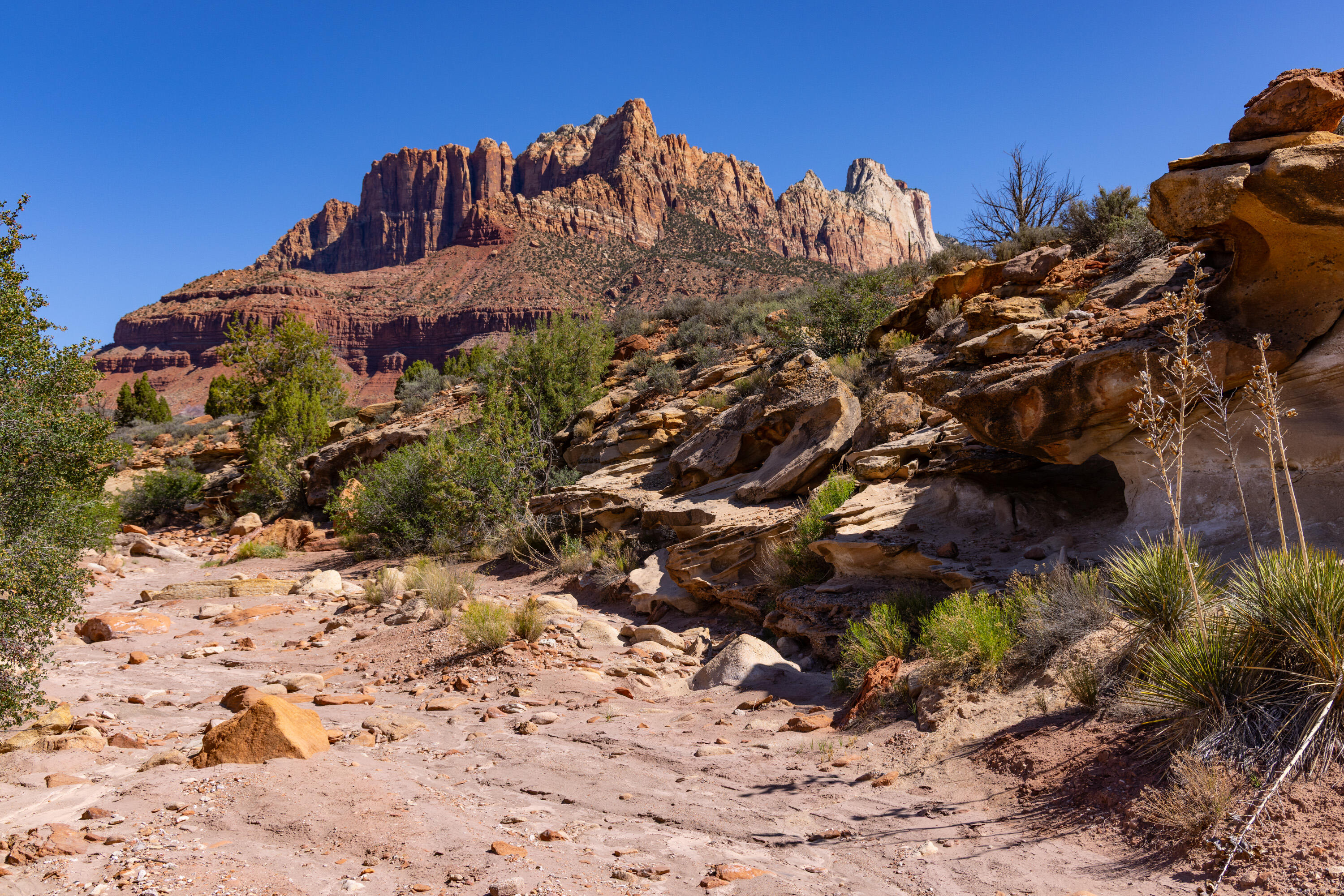 ANASAZI PLATEAU - Land
