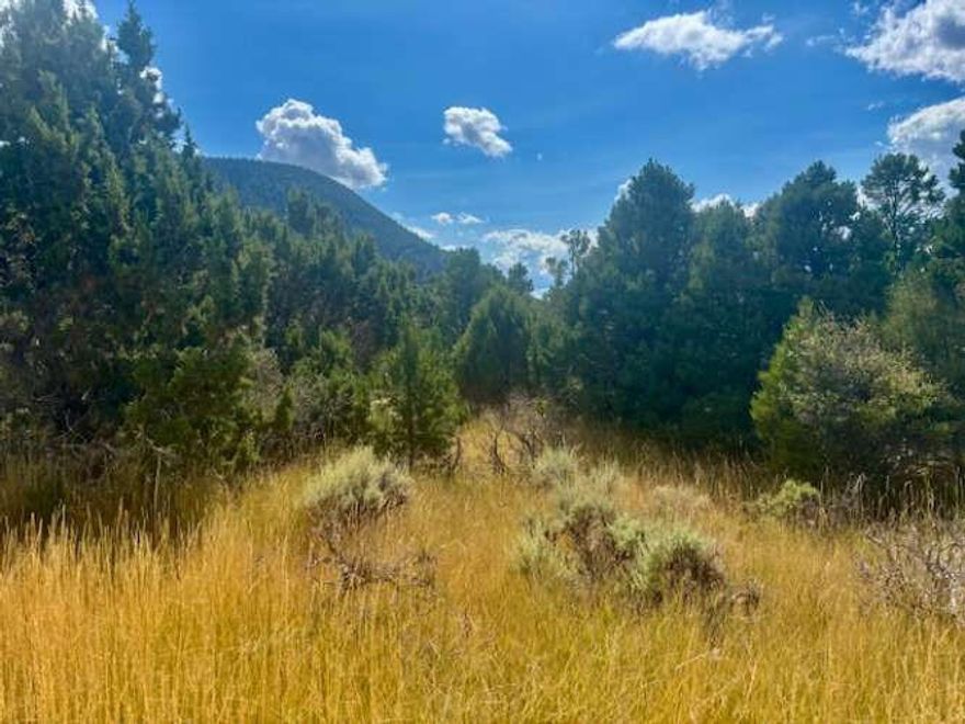 Discover the majestic scenery, breathtaking views, and quiet stillness of the coveted Cedar Highlands Community, located high above the quaint town, Cedar City. This premium lot is mostly flat, offering maximum amount of useable land. Gorgeous views all around and plenty of space for privacy and solitude. Come enjoy the green junipers, snow covered mountains, starlit skies, and fresh clean air. Year round access for full time living, or a great getaway from the summer heat. Only 2.5 hours from Las Vegas! This location is the perfect slice of heaven to build that dream home!