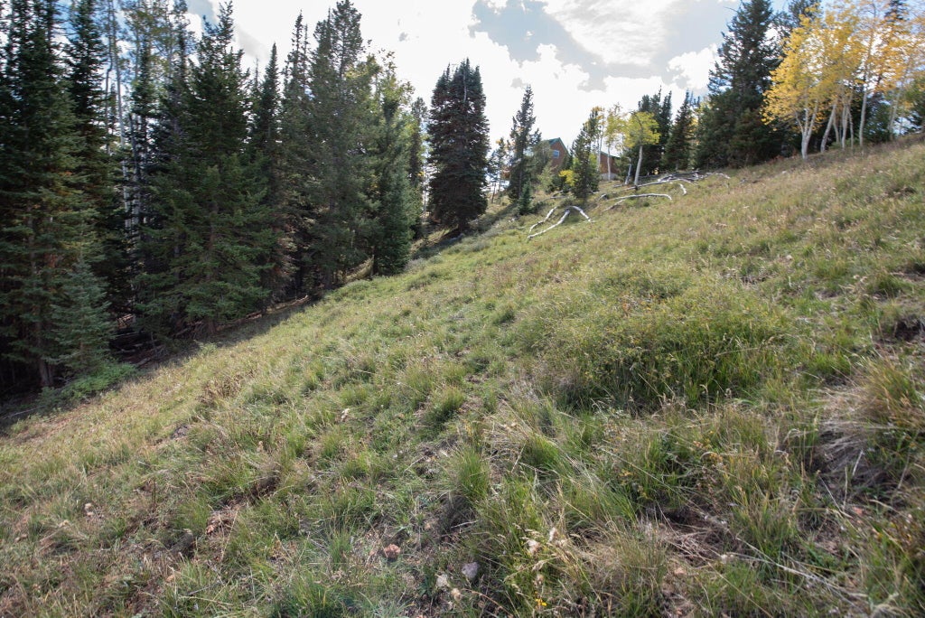 Photo of 1430 N Aspen DR, Brian Head, UT 84719 (MLS # 26-277161)