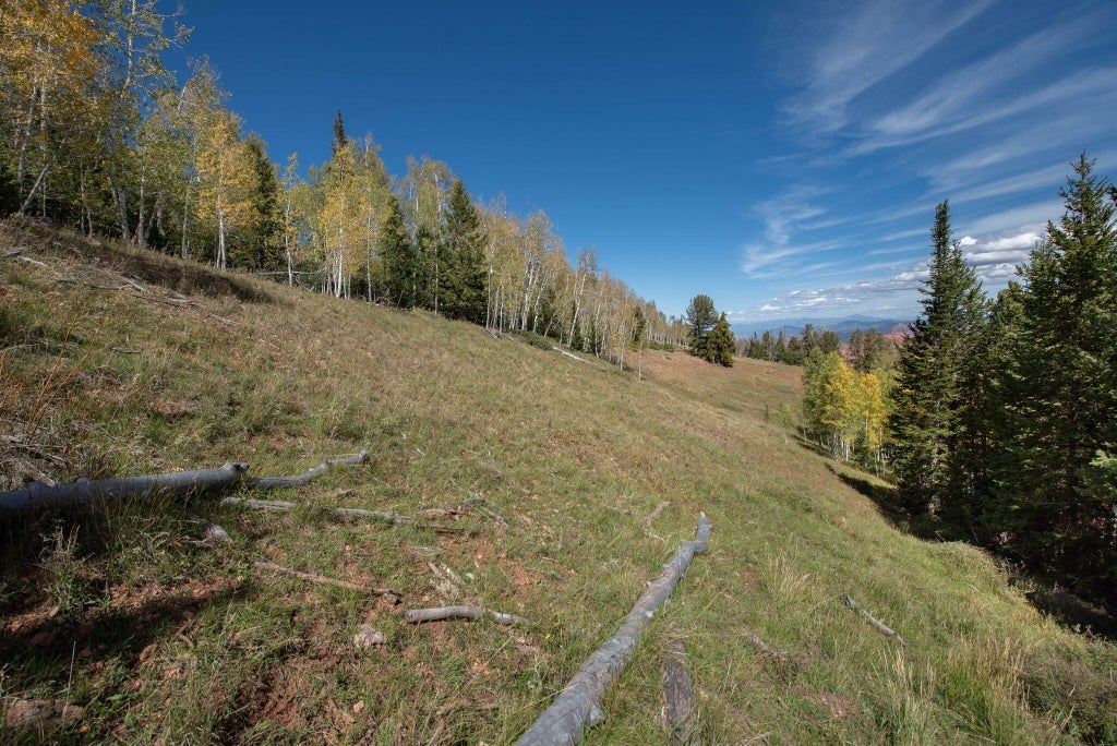 Photo of 1430 N Aspen DR, Brian Head, UT 84719 (MLS # 26-277161)