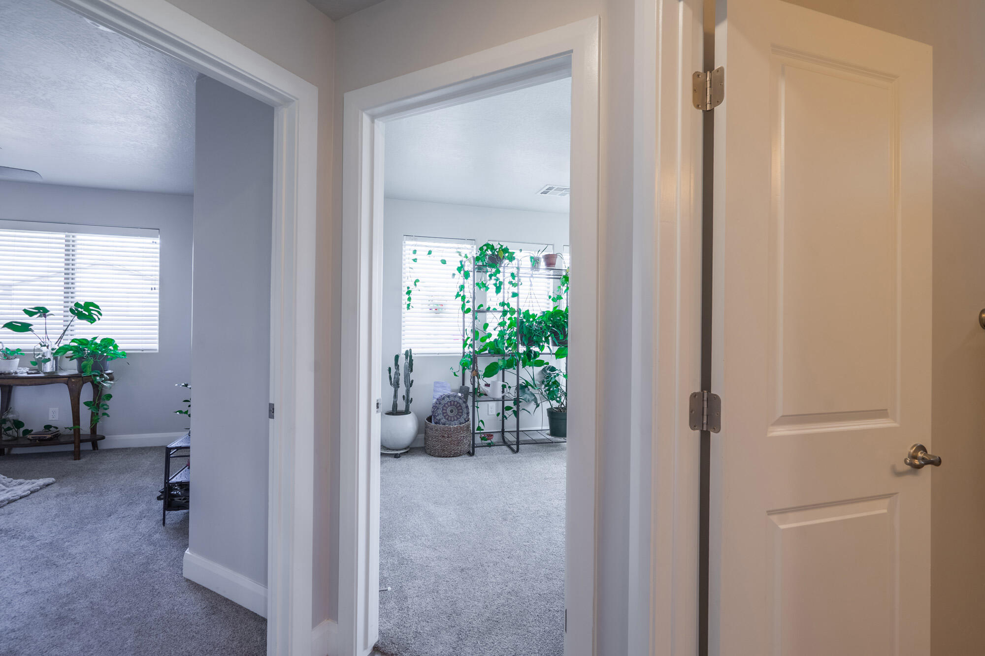 HURRICANE HEIGHTS TOWNHOMES - Residential