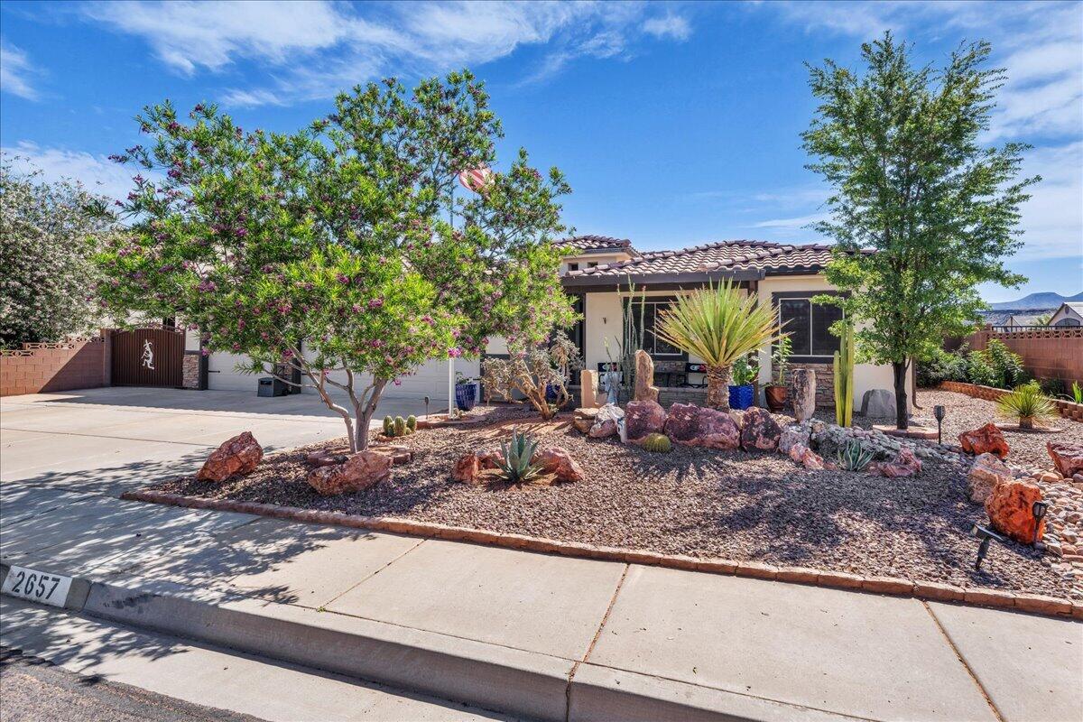 DIXIE SPRINGS - Residential