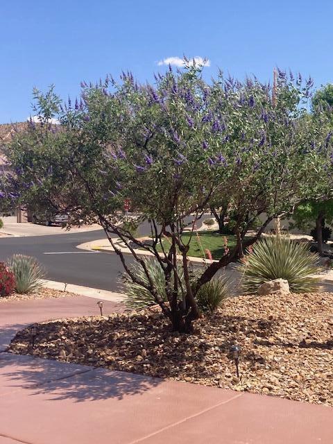 SILVER FALLS AT WASHINGTON BENCH - Residential
