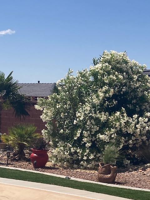 SILVER FALLS AT WASHINGTON BENCH - Residential