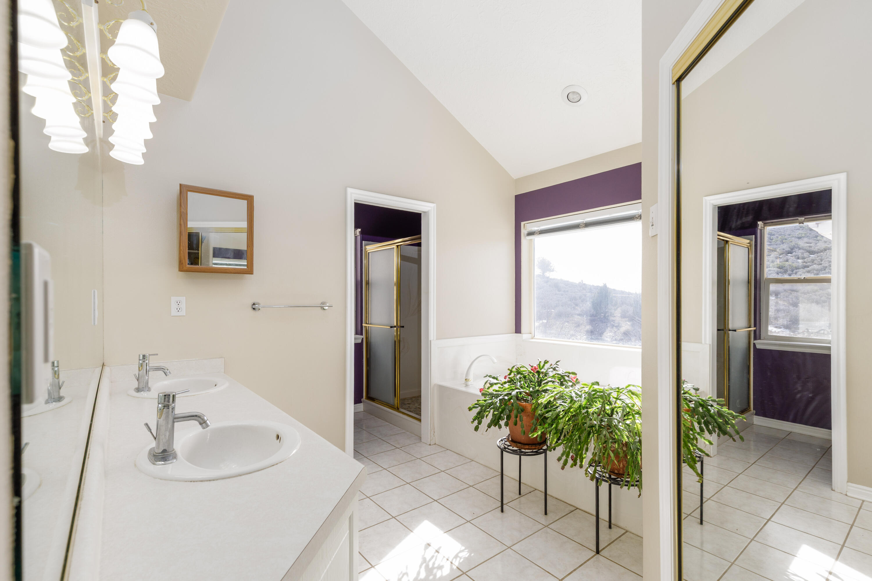 DIAMOND VALLEY ACRES - Residential