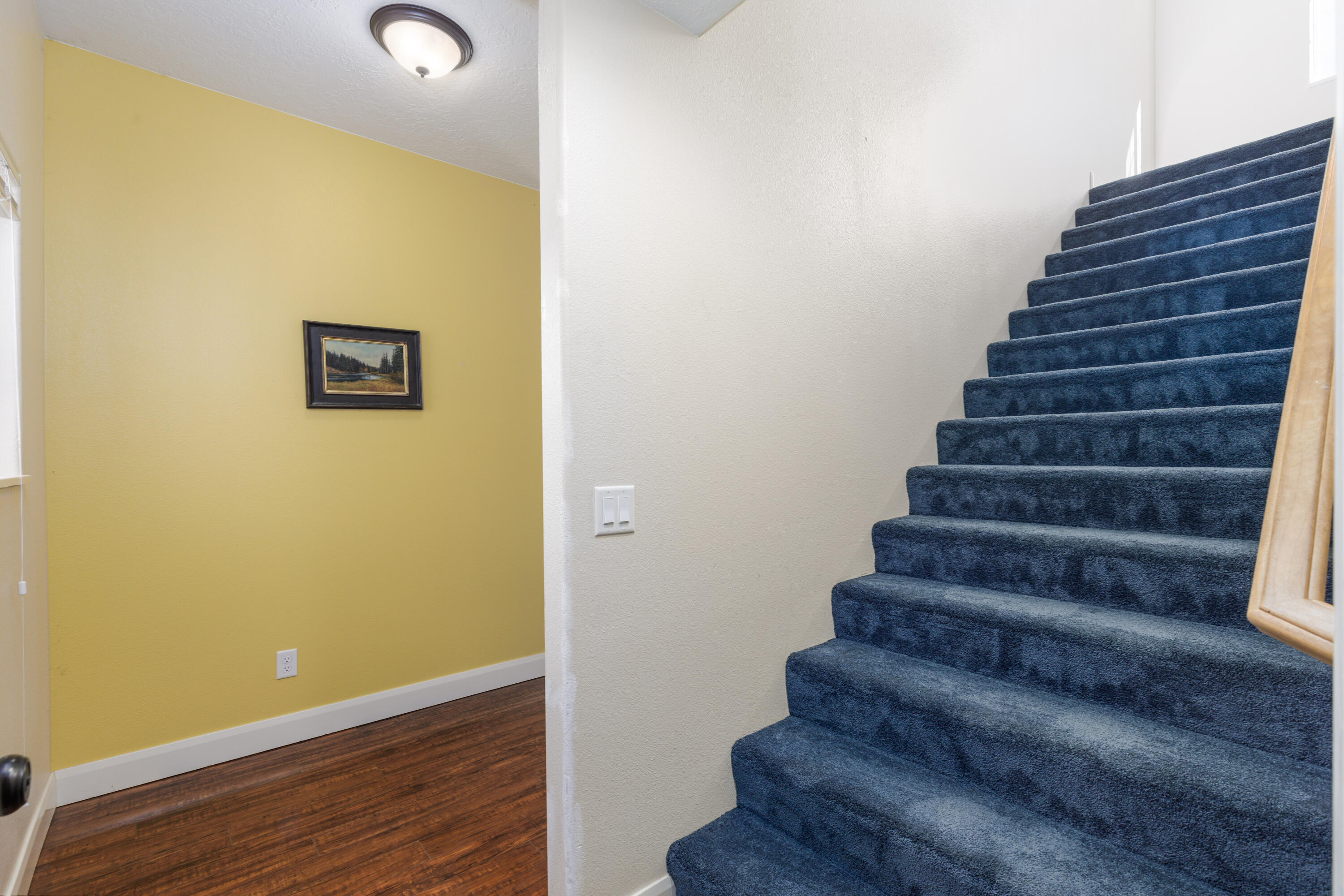 DIAMOND VALLEY ACRES - Residential