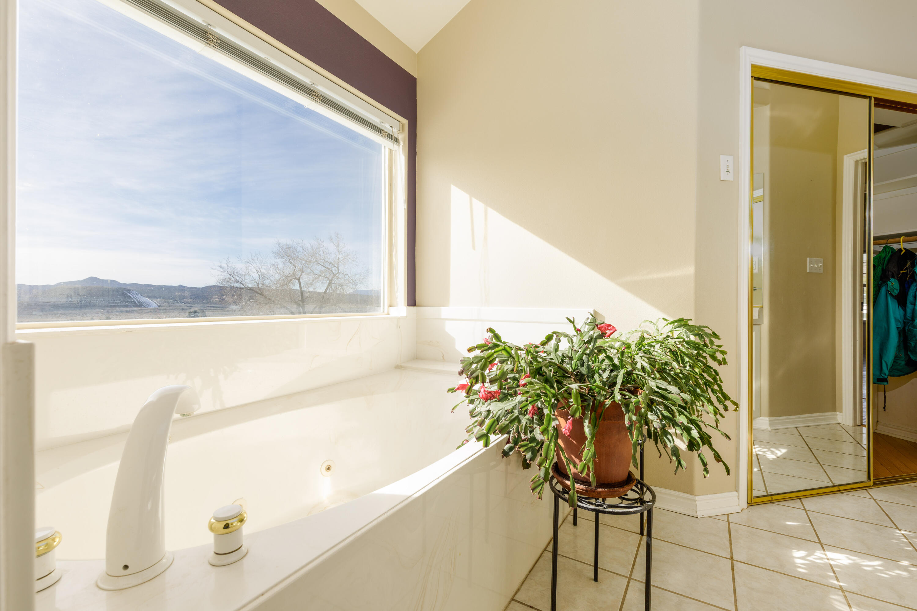 DIAMOND VALLEY ACRES - Residential