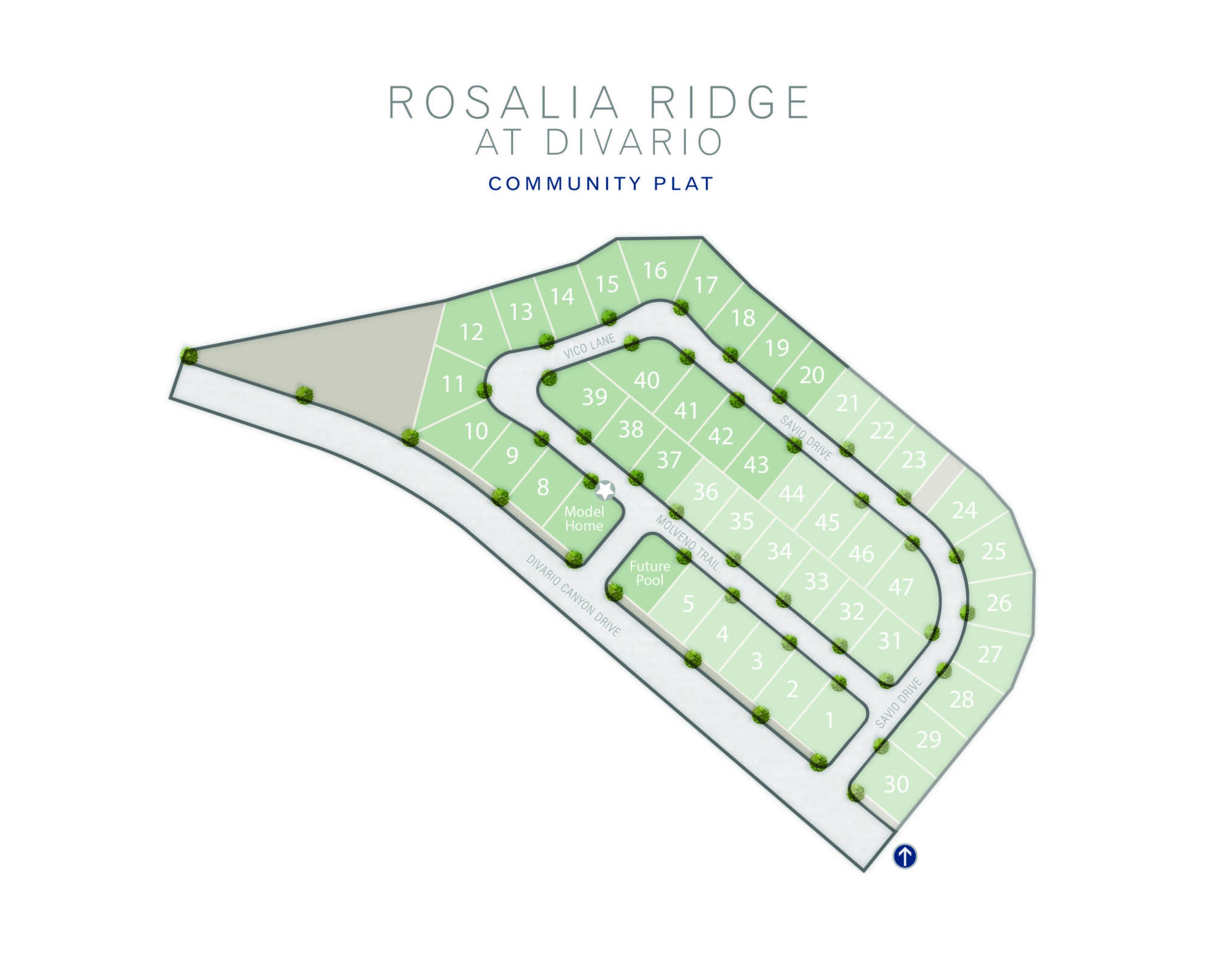 ROSALIA RIDGE AT DIVARIO - Residential