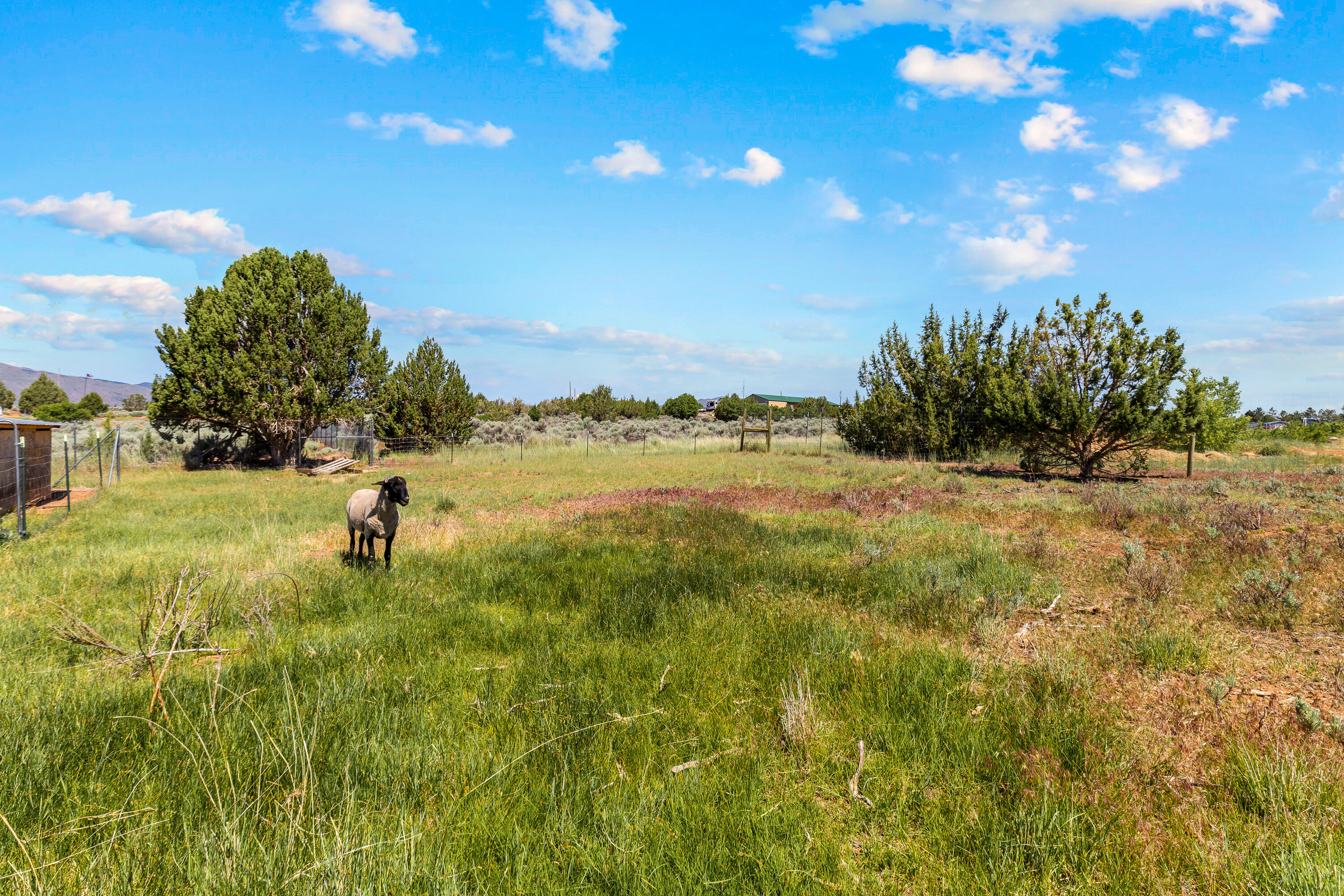 BLACKRIDGE RANCHES - Residential