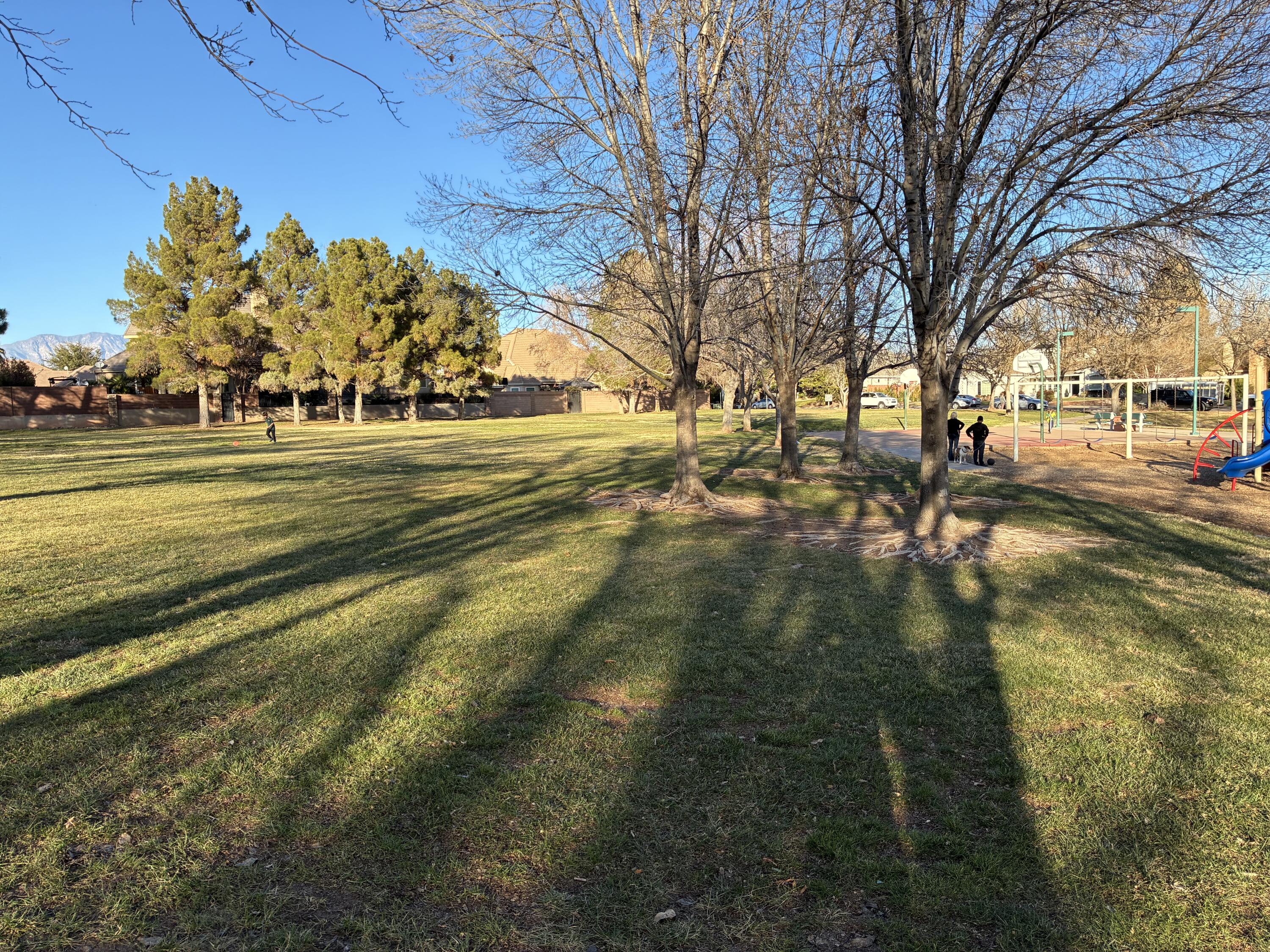 CHAPEL LANE ESTATES - Residential