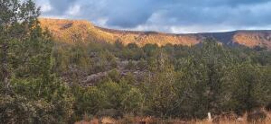 Come own your own piece of Utah paradise on this 5-acre lot with breathtaking 180-degree views of Kolob and the New Harmony valley. You really cannot experience the beauty until you go and stand on this lot. Every pic in the listing is taken from the flat pad. This lot is located within 200 miles of all 5 National Parks in Utah, making it a natural hub for your outdoor exploration. Power, water, and septic have already been pulled to the lot ready for RV hookups. Plans for a beautiful 3200+ sq ft one level home that includes both a MIL suite and RV garage included with an accepted offer. There is abundant wildlife that can be viewed throughout the subdivision. Run, don't walk, and steal this lot for yourself!