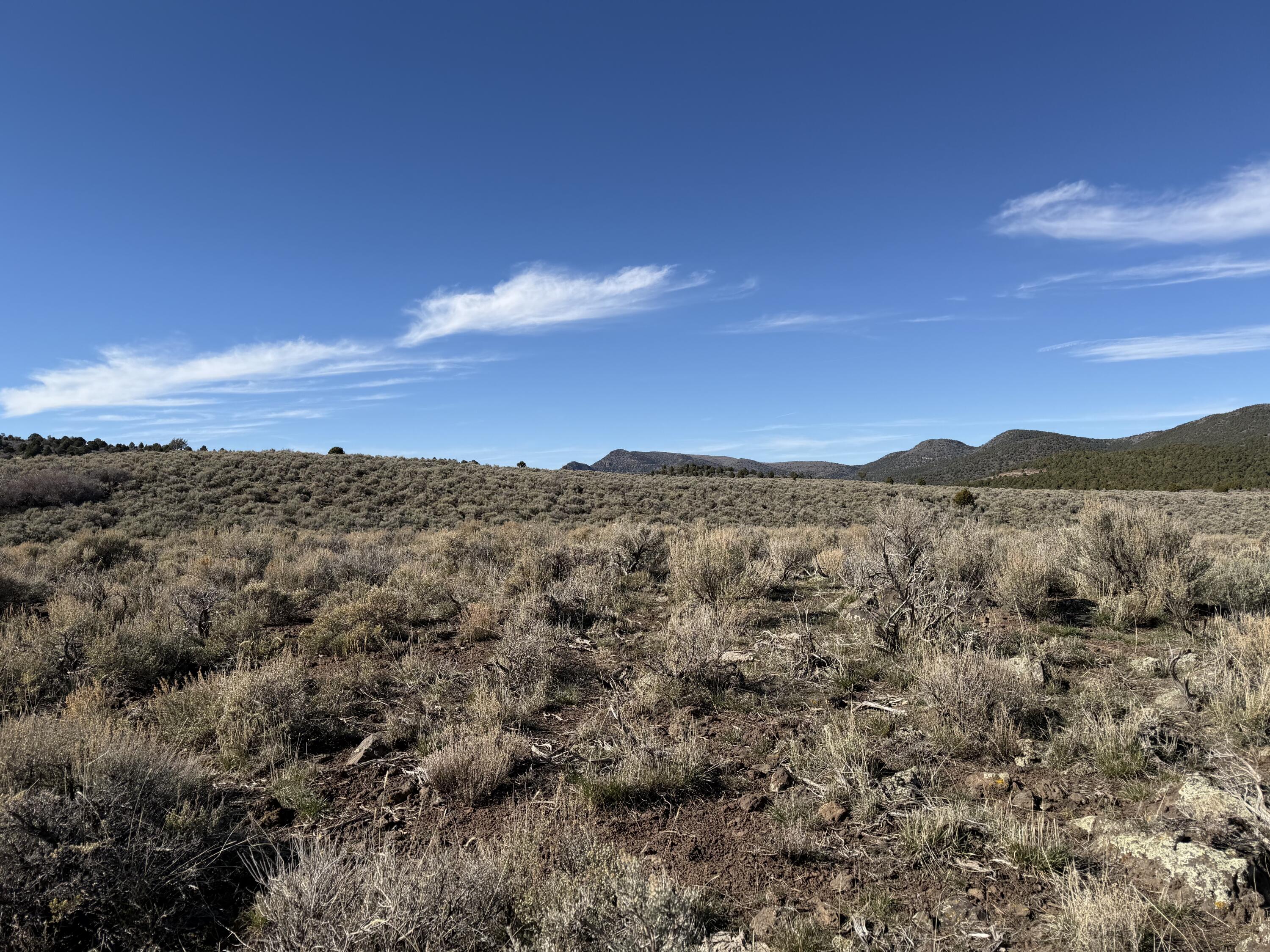 PINE VALLEY RANCHOS - Land