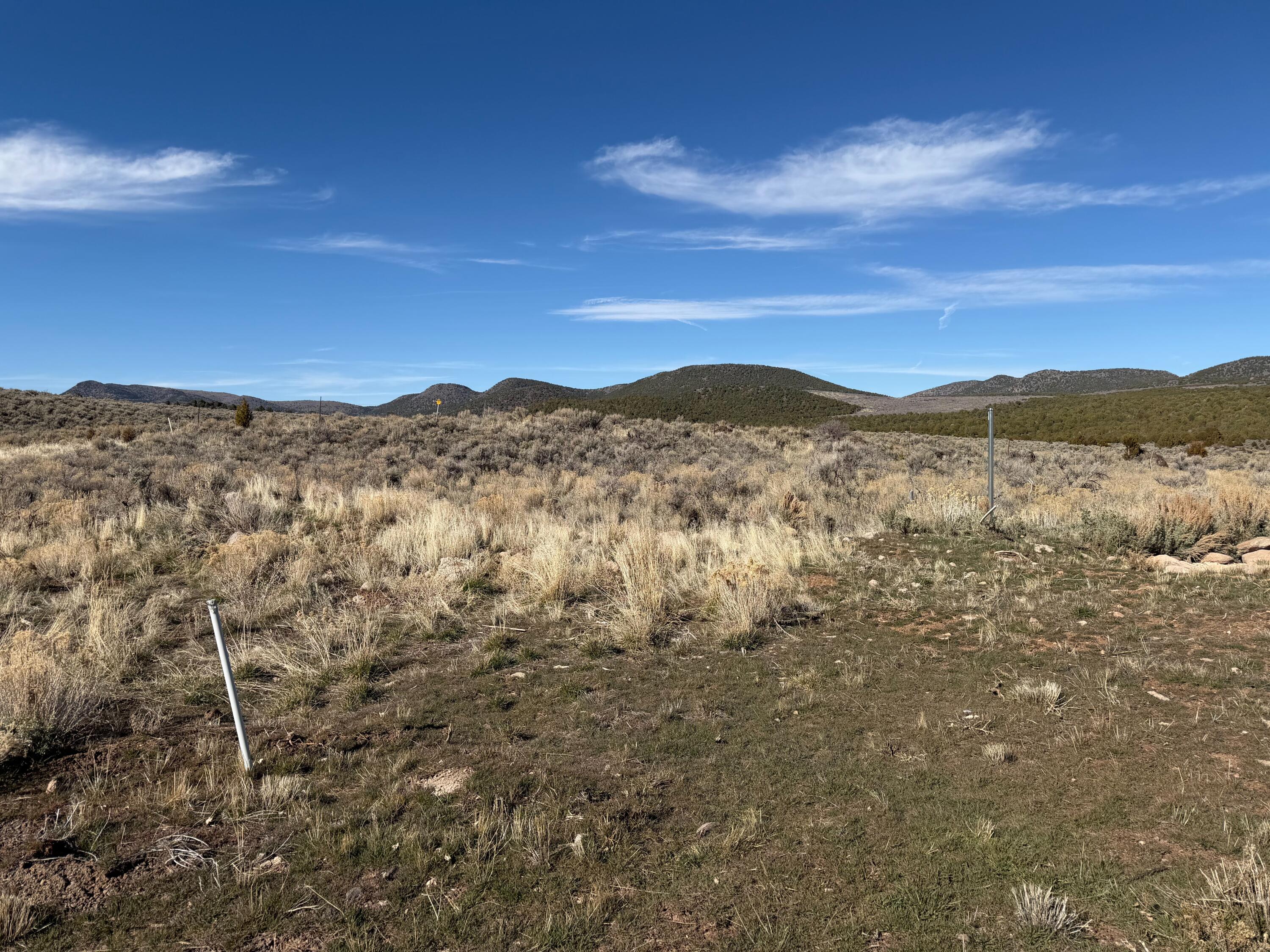 PINE VALLEY RANCHOS - Land