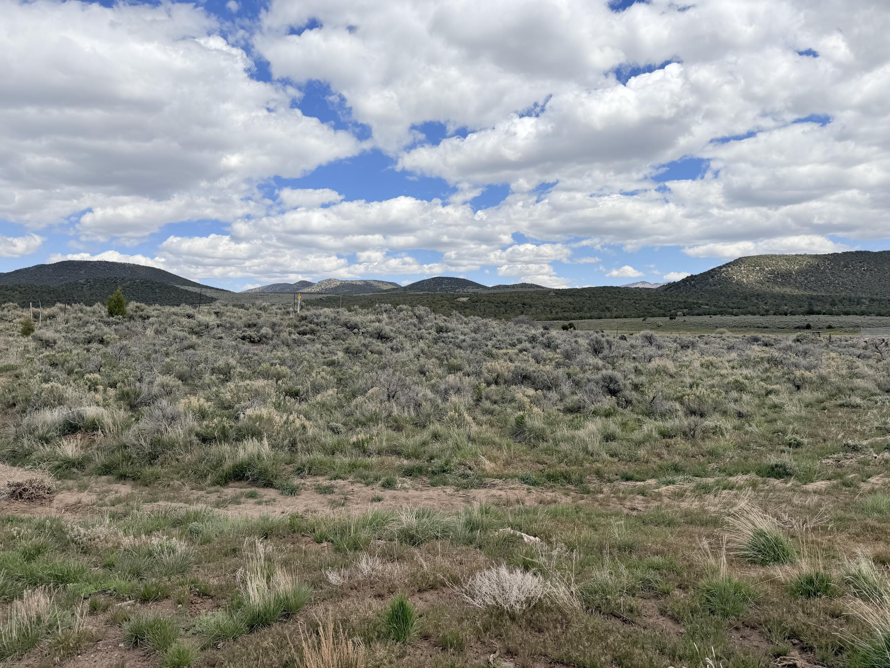 PINE VALLEY RANCHOS - Land