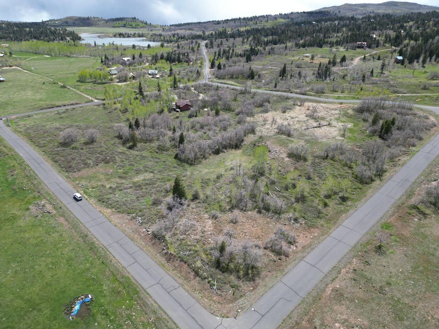 Beautiful mountain lot. This corner lot has views of the large water conservancy district meadow. Listing information deemed reliable, buyer to verify.