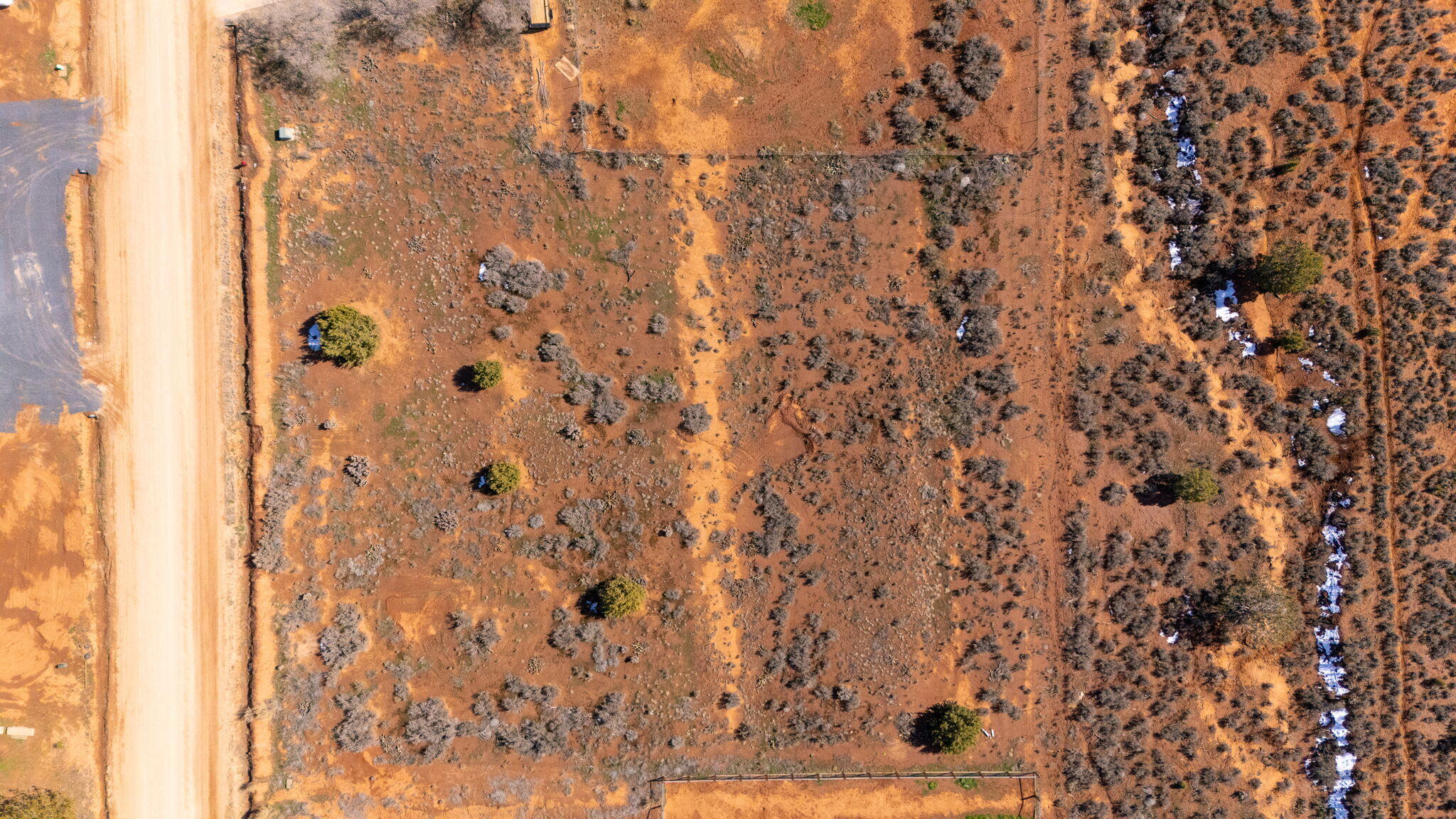 APPLE VALLEY RANCH GOOSEBERRY - Land