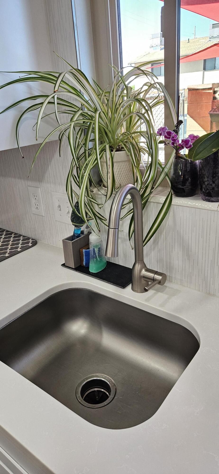 COLOR VIEW TOWNHOMES - Residential