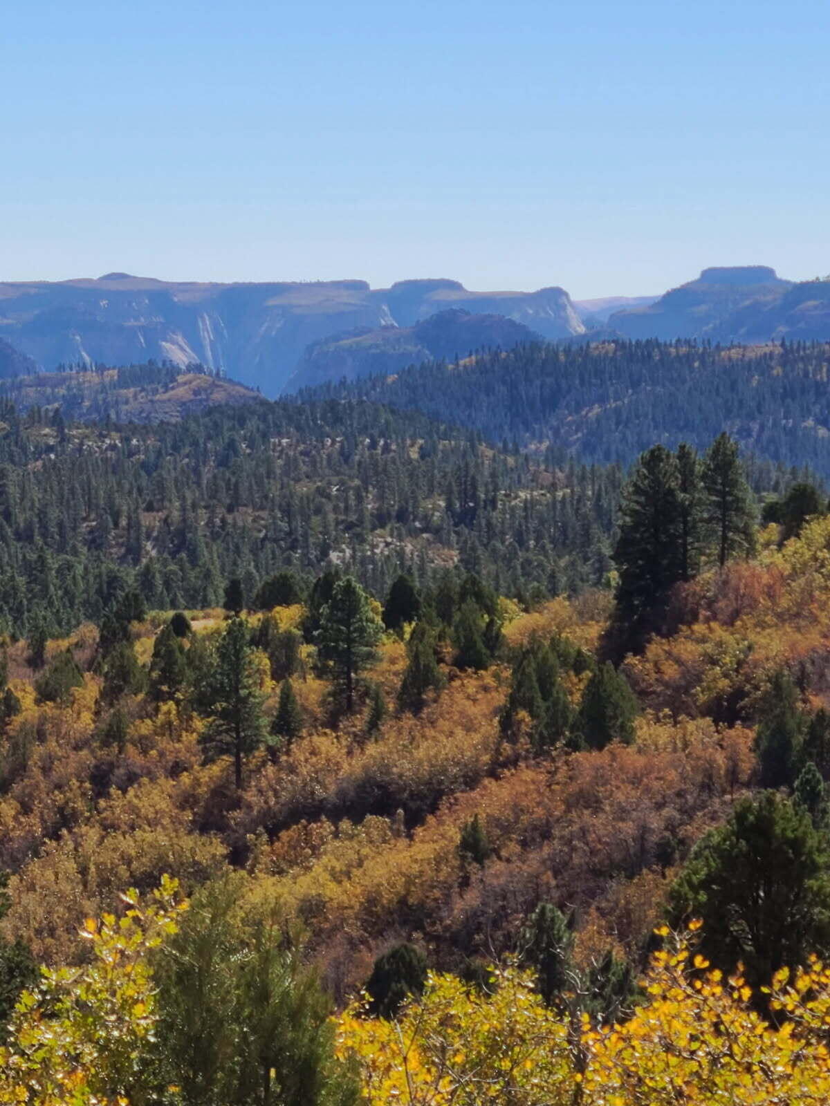 ZION PANORAMA - Land
