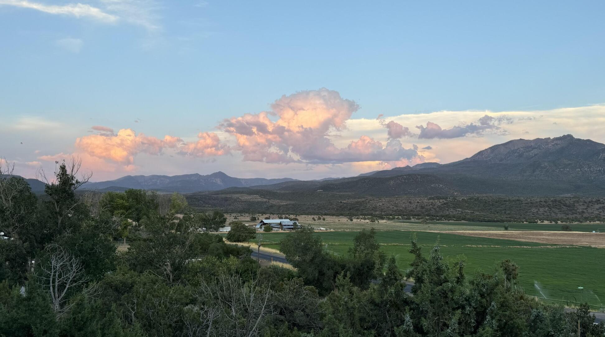 DIXIE DEER ESTATES - Residential