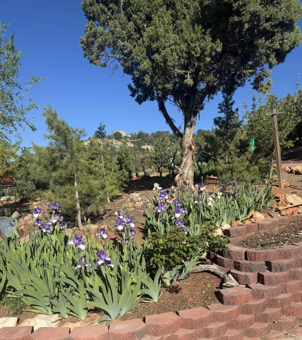 DIXIE DEER ESTATES - Residential