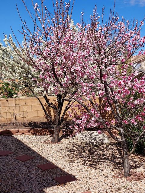 Tiny photo for 1394 W Forest Hill DR, Saint George, UT 84790 (MLS # 25-266138)