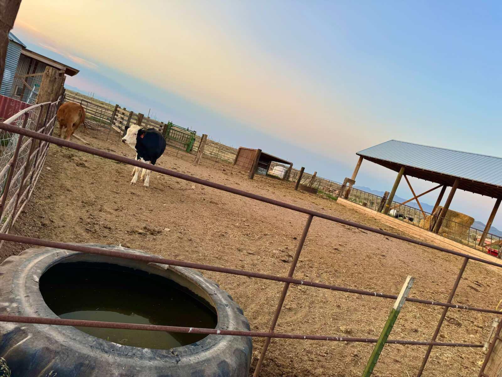 ENTERPRISE RANCHOS - Residential