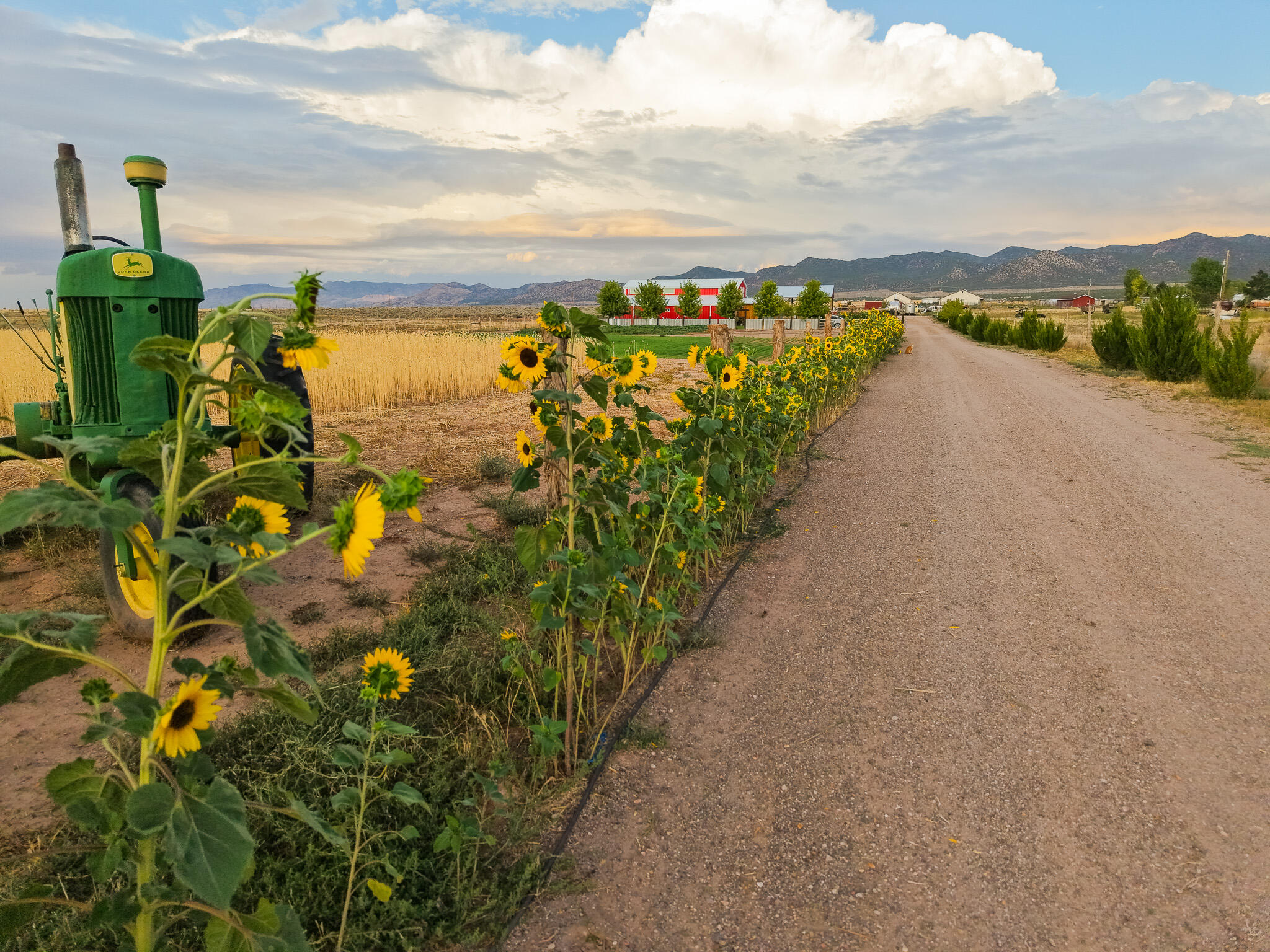 ENTERPRISE RANCHOS - Residential