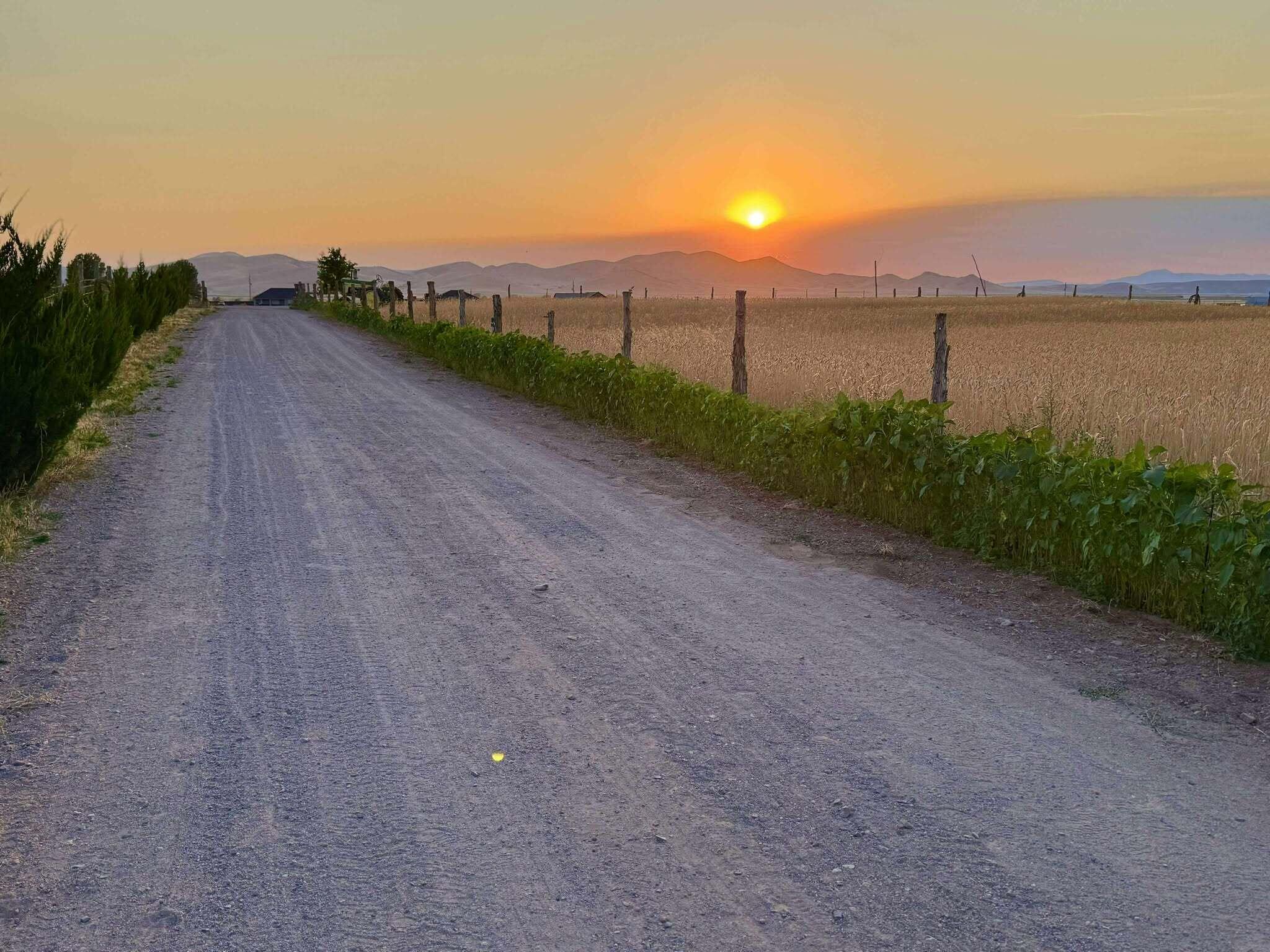 ENTERPRISE RANCHOS - Residential