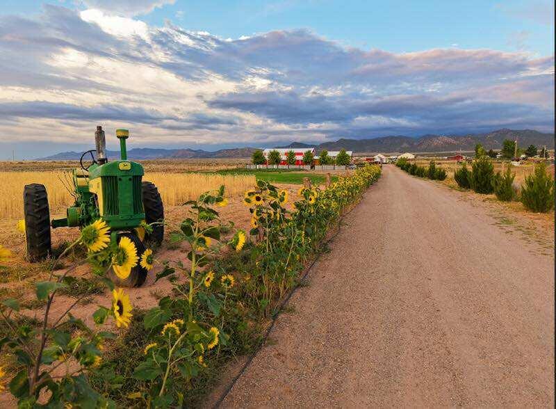 ENTERPRISE RANCHOS - Residential