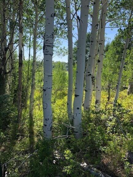 WHISPERING PINES SUB - Land