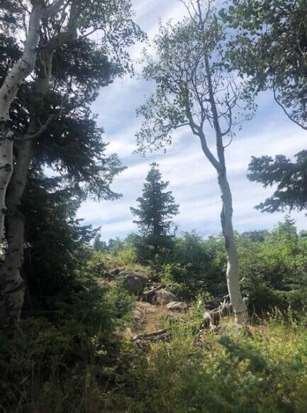 WHISPERING PINES SUB - Land