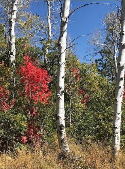 WHISPERING PINES SUB - Land