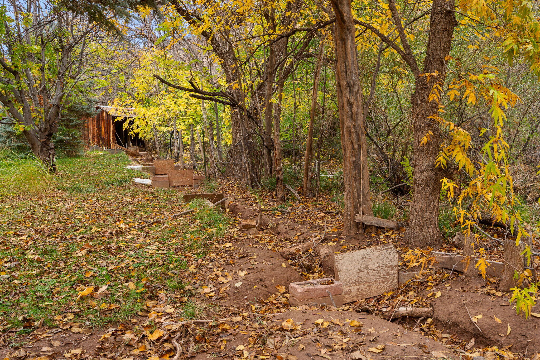 HURRICANE LOCAL - Residential